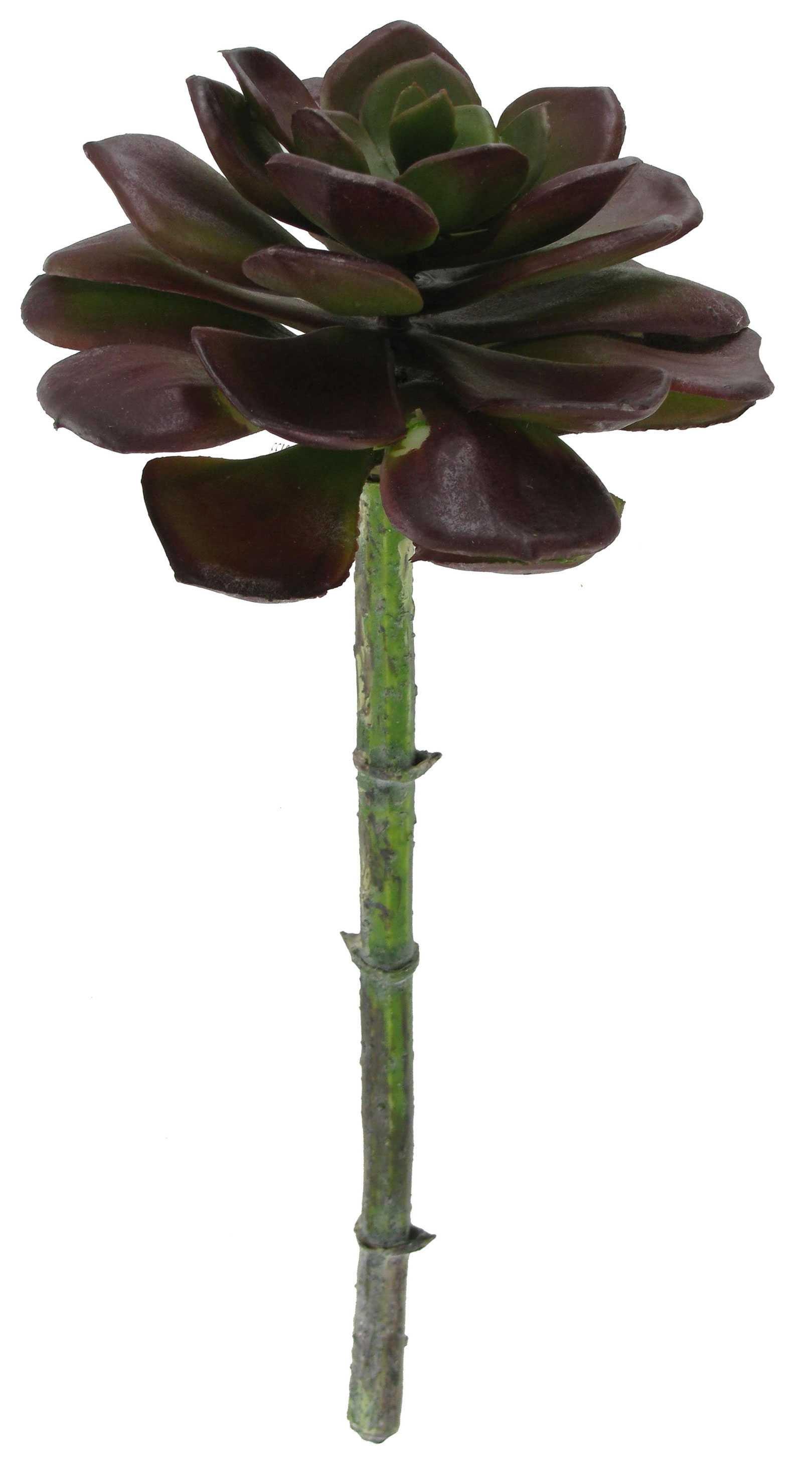 Red & Green Succulent Pick | Hobby Lobby | 590133