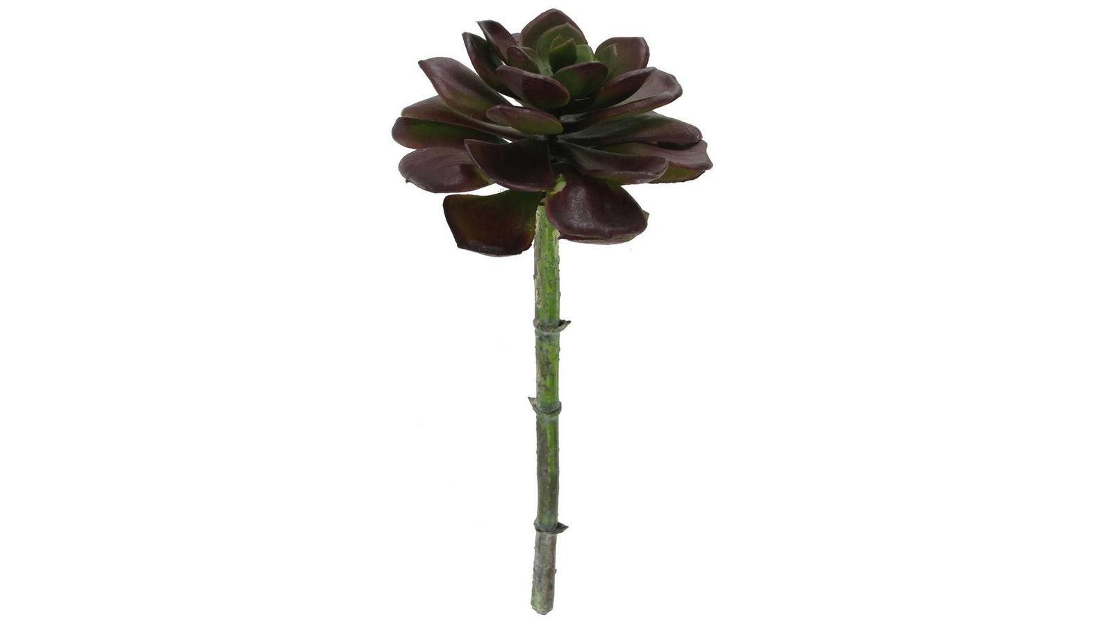 Red & Green Succulent Pick | Hobby Lobby | 590133