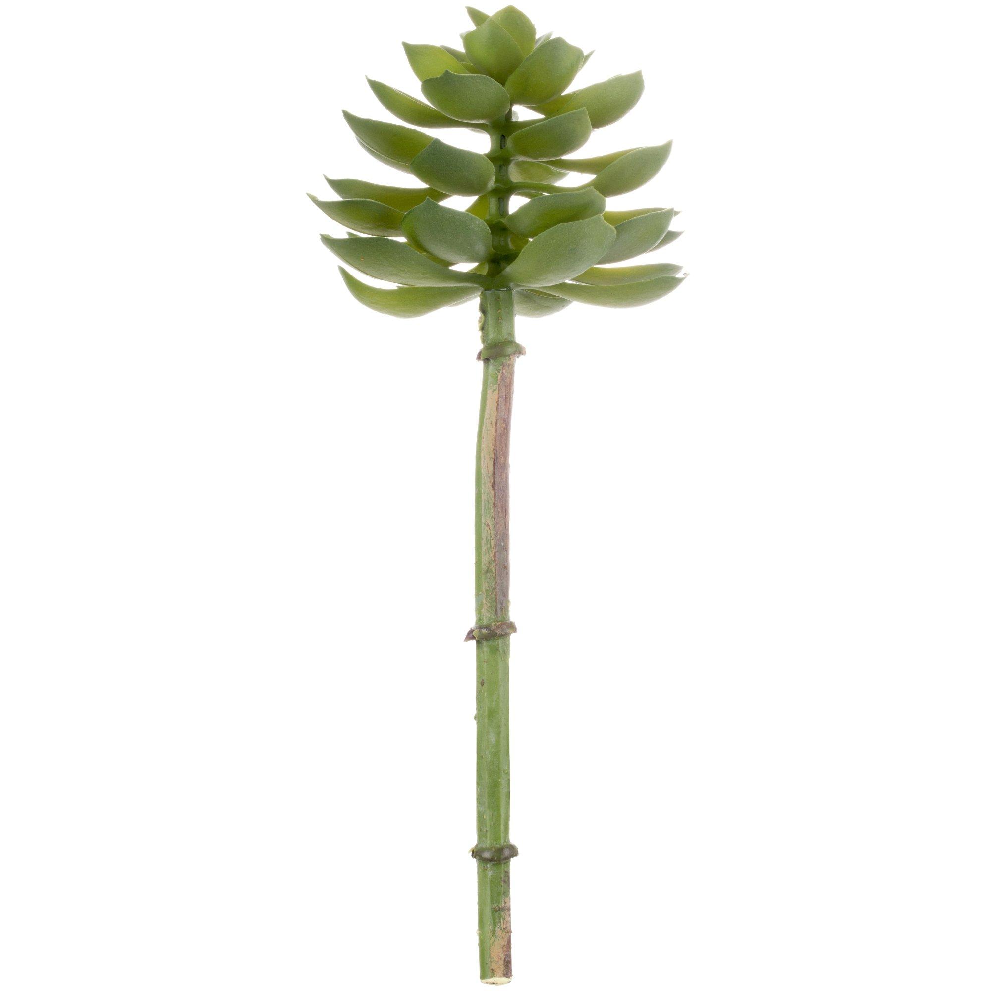 Selected Product Image