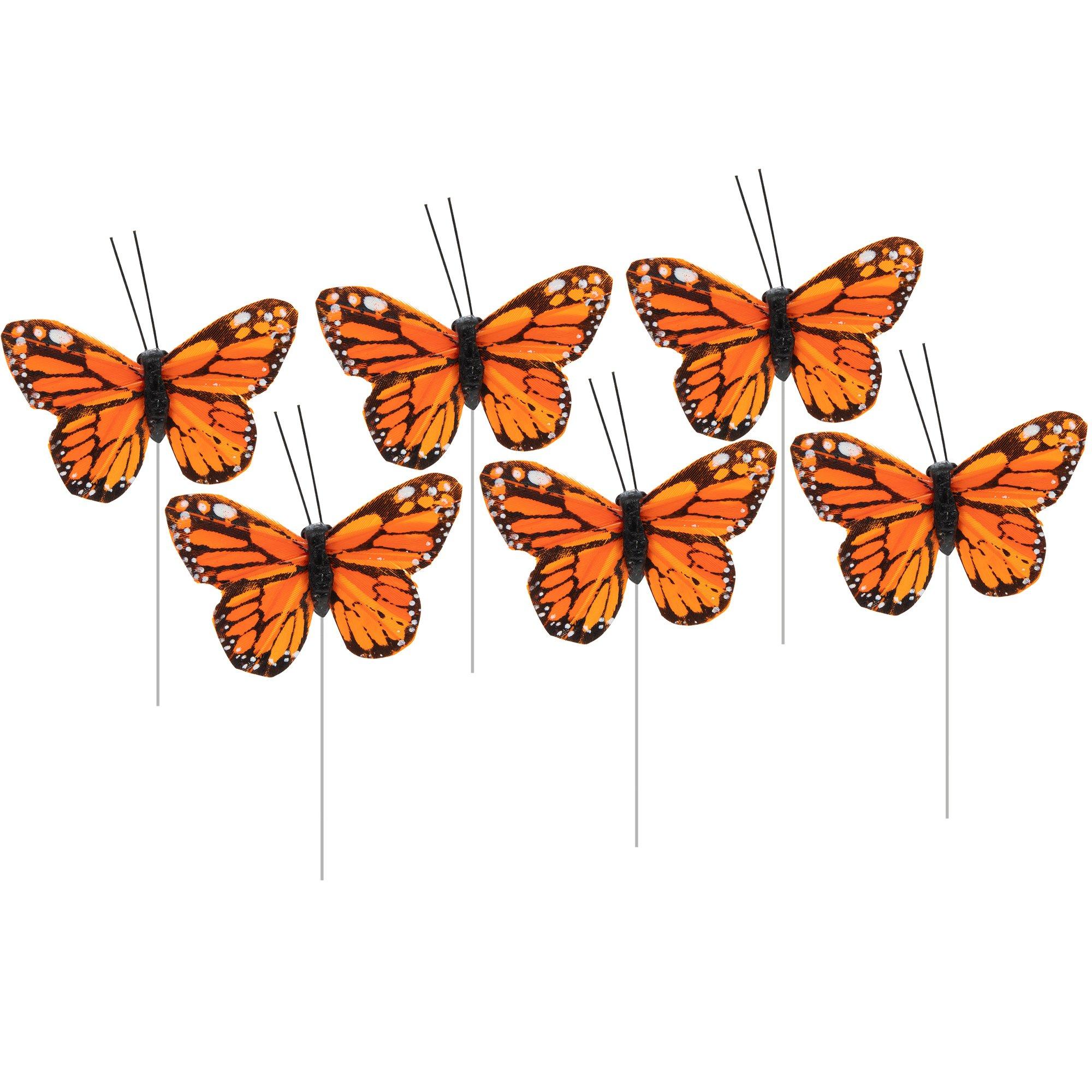 Feather Butterflies Hobby Lobby 592956