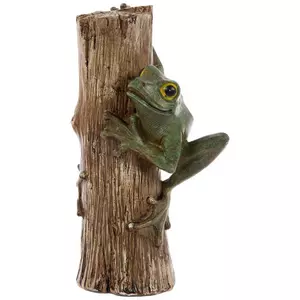 Frog Climbing Stump