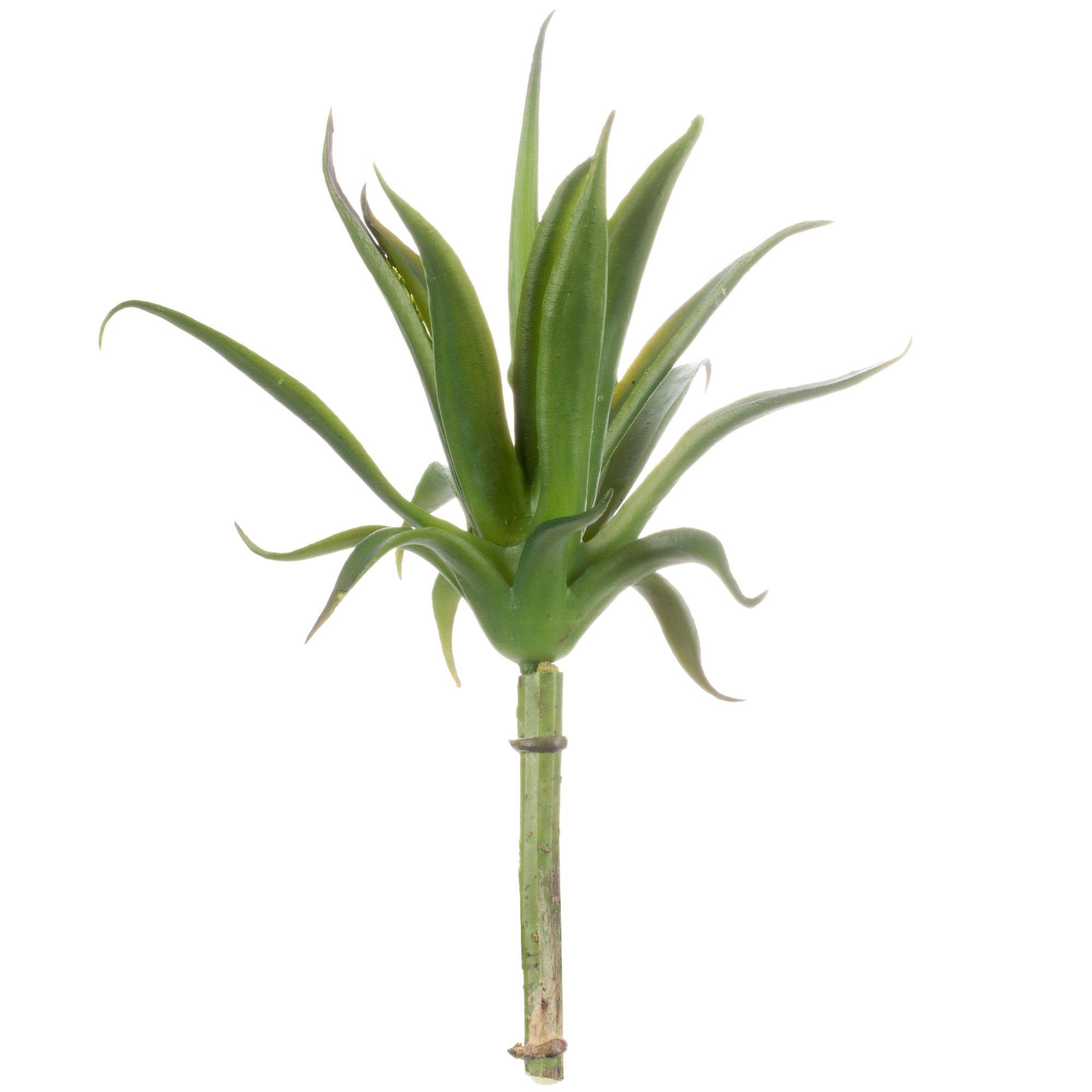 Selected Product Image