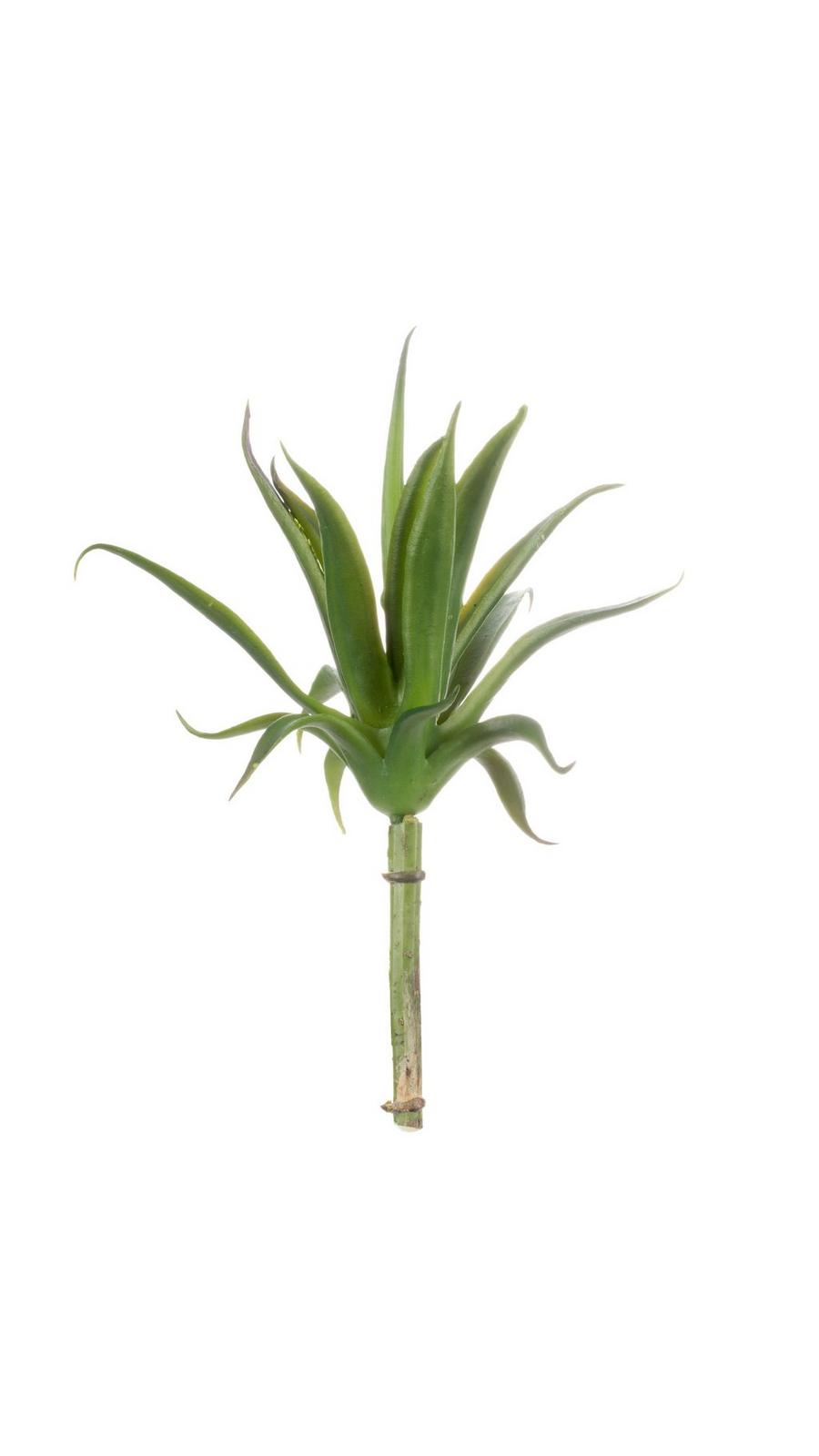 Green Succulent Pick
