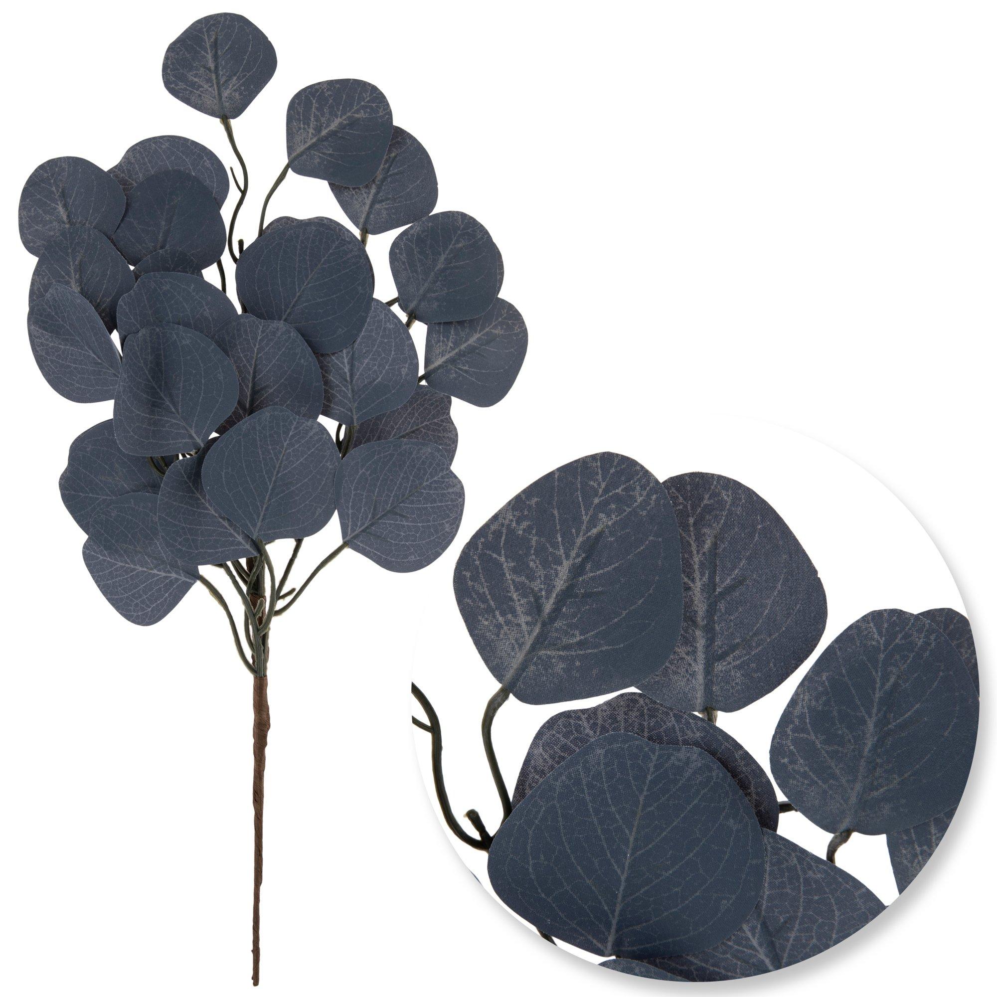 Selected Product Image