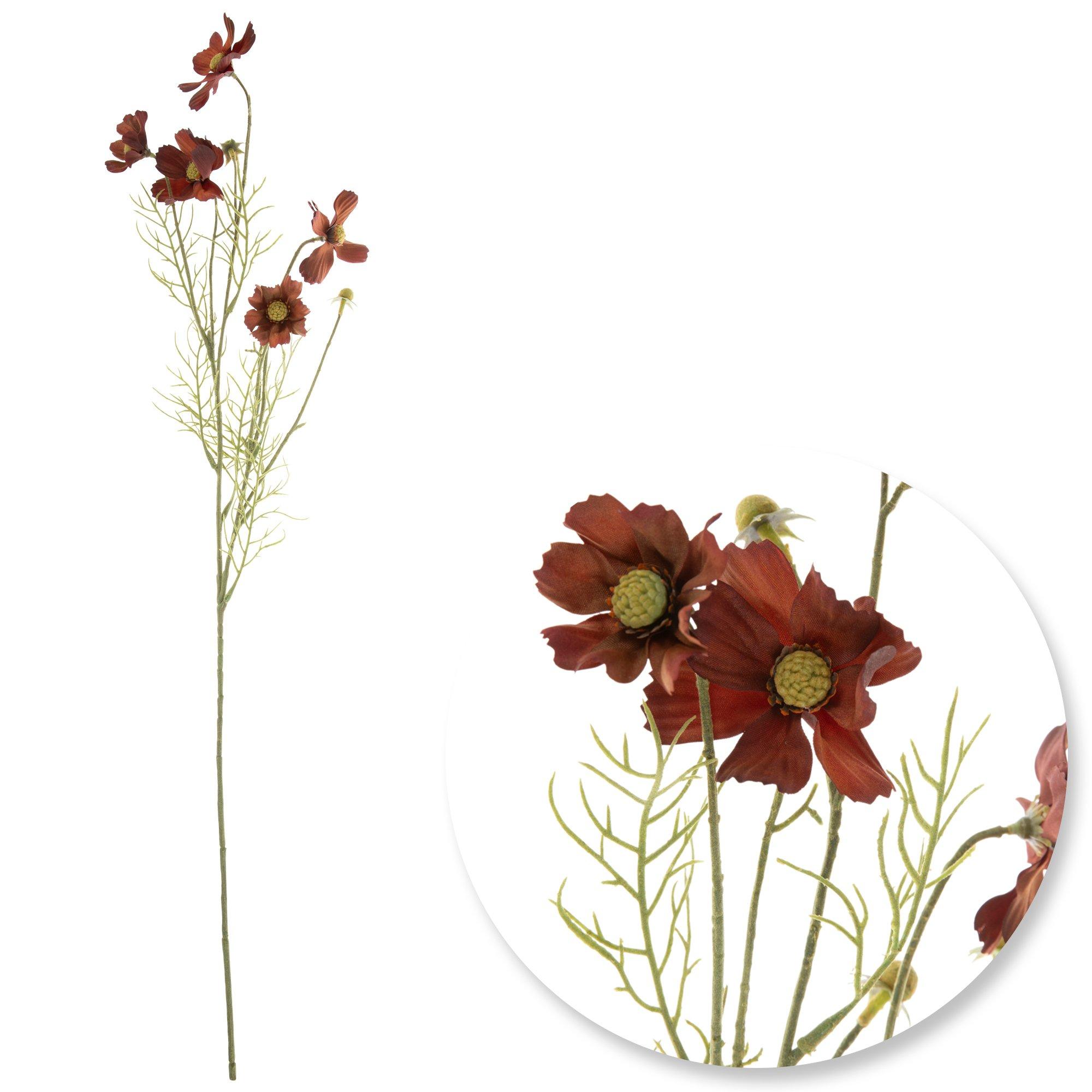 Selected Product Image