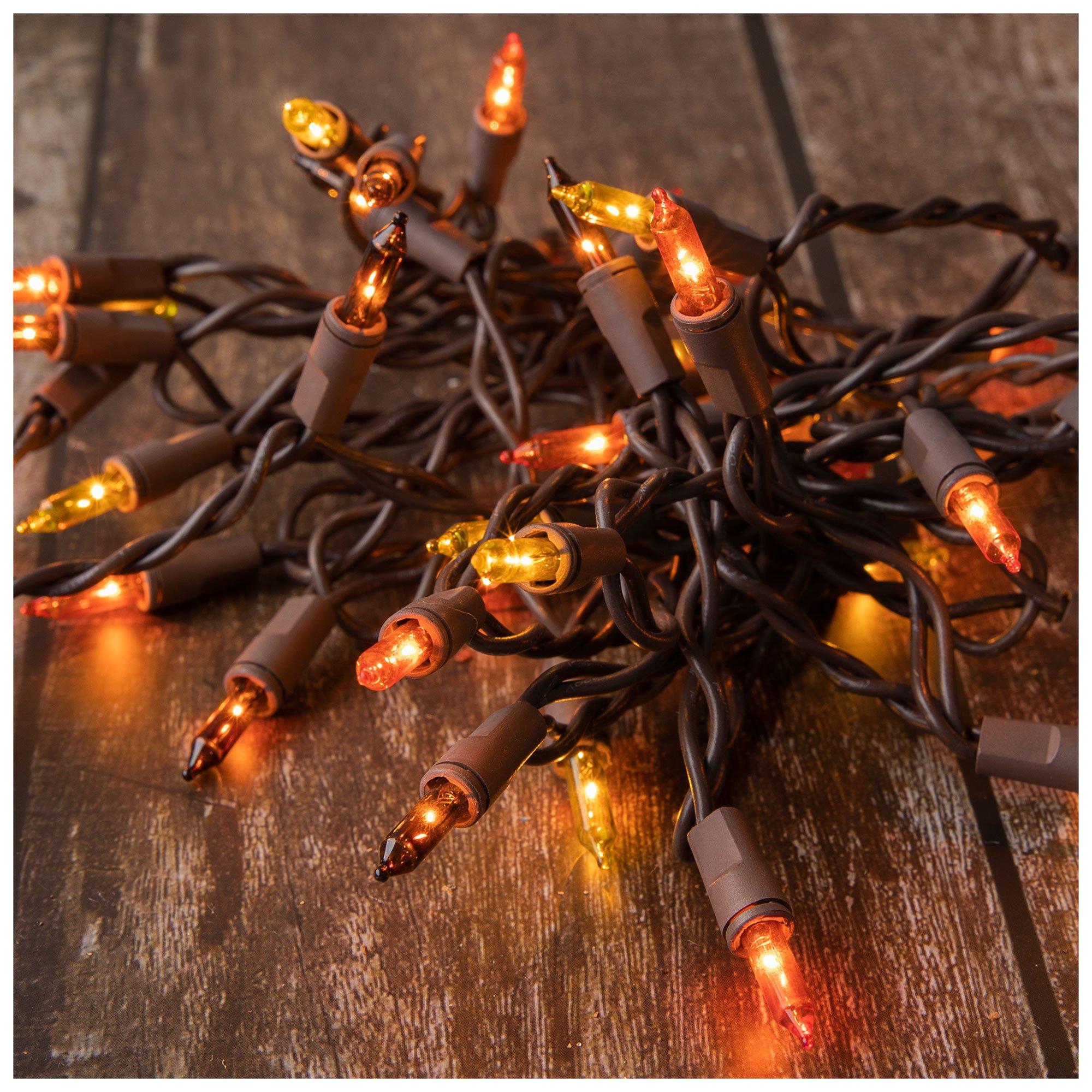 Fall Mini Lights Hobby Lobby 5946199