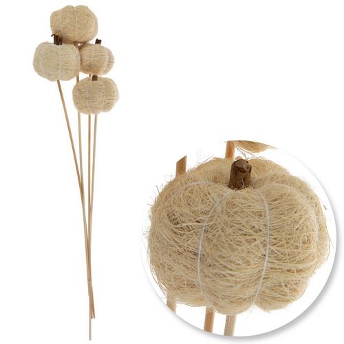 Bleached - Pumpkin Bundle