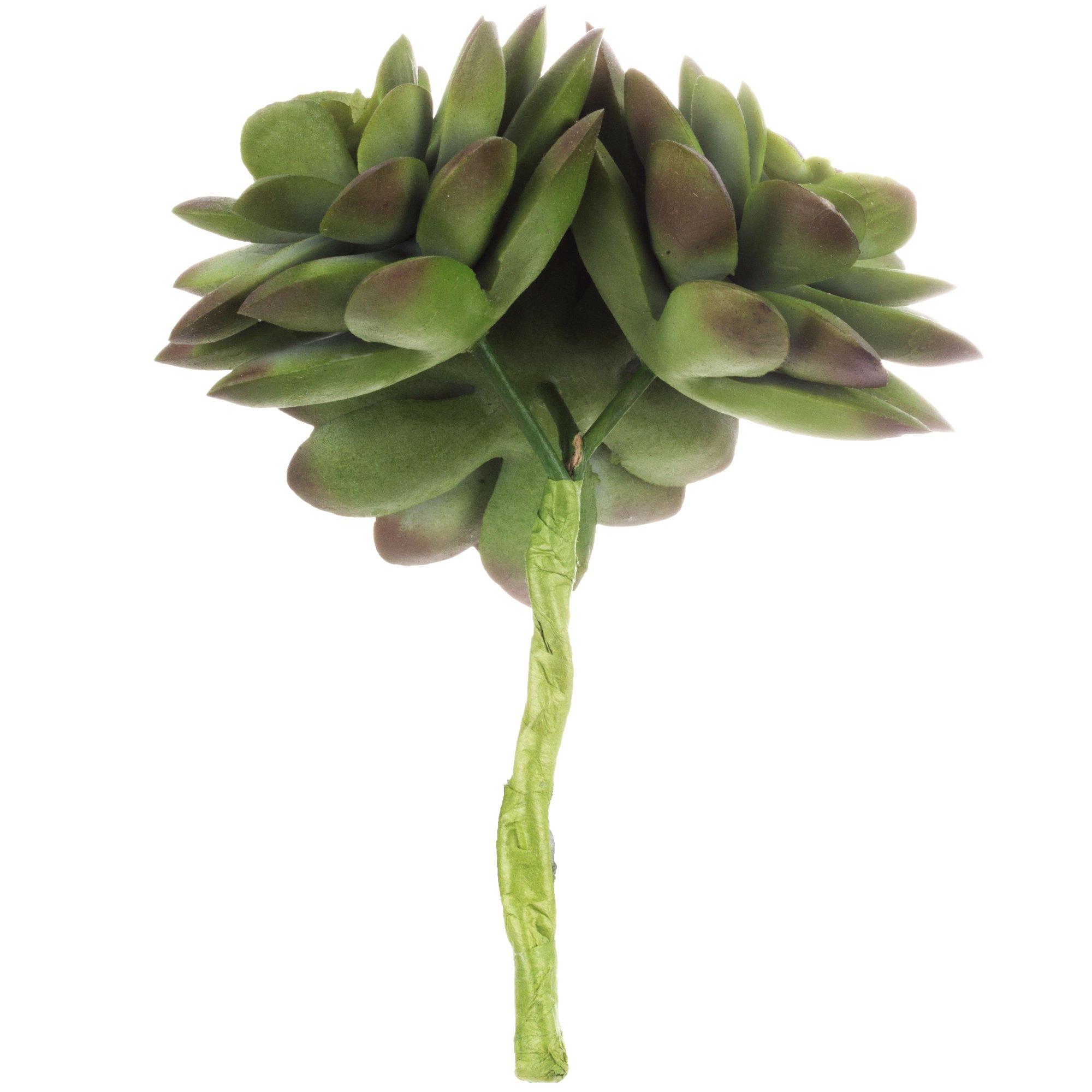 Selected Product Image