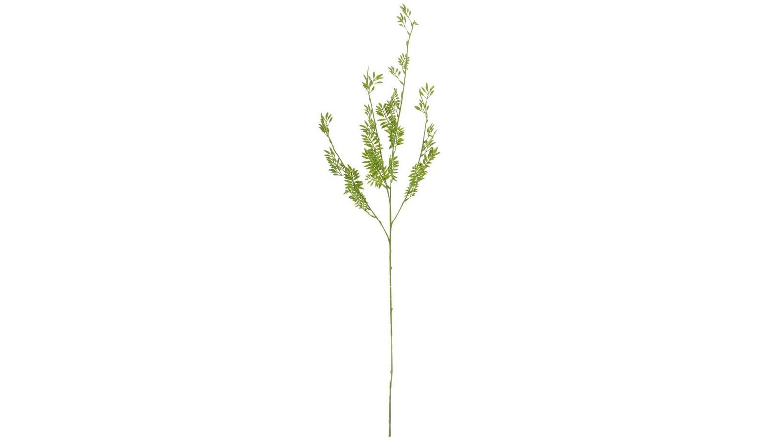 Green Mini Fern Leaf Stem | Hobby Lobby | 597658
