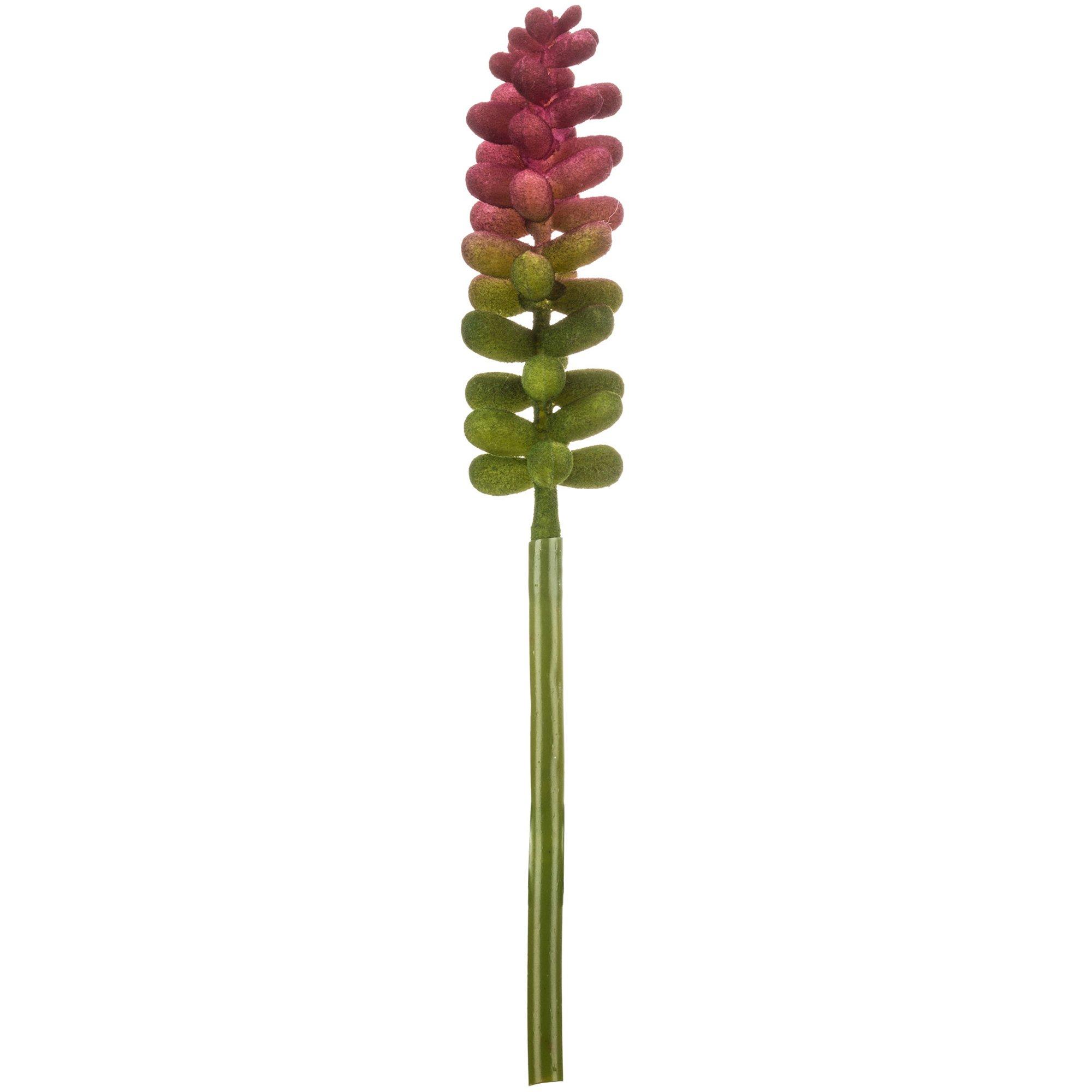 Purple & Green Succulent Pick | Hobby Lobby | 654954