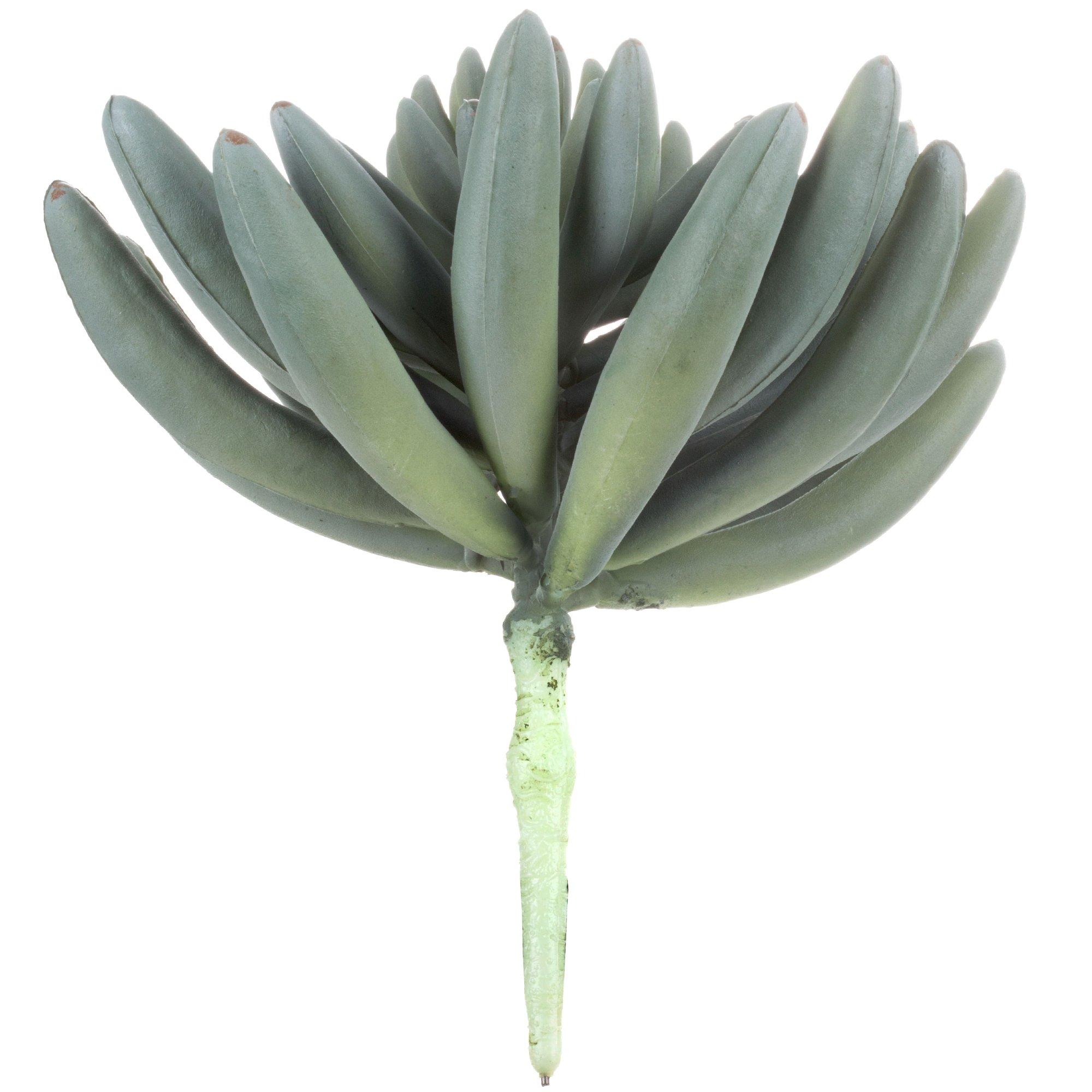 Green & Gray Succulent Pick | Hobby Lobby | 597948