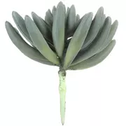 Green & Gray Succulent Pick