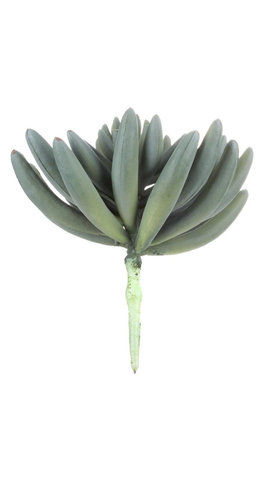 Green & Gray Succulent Pick
