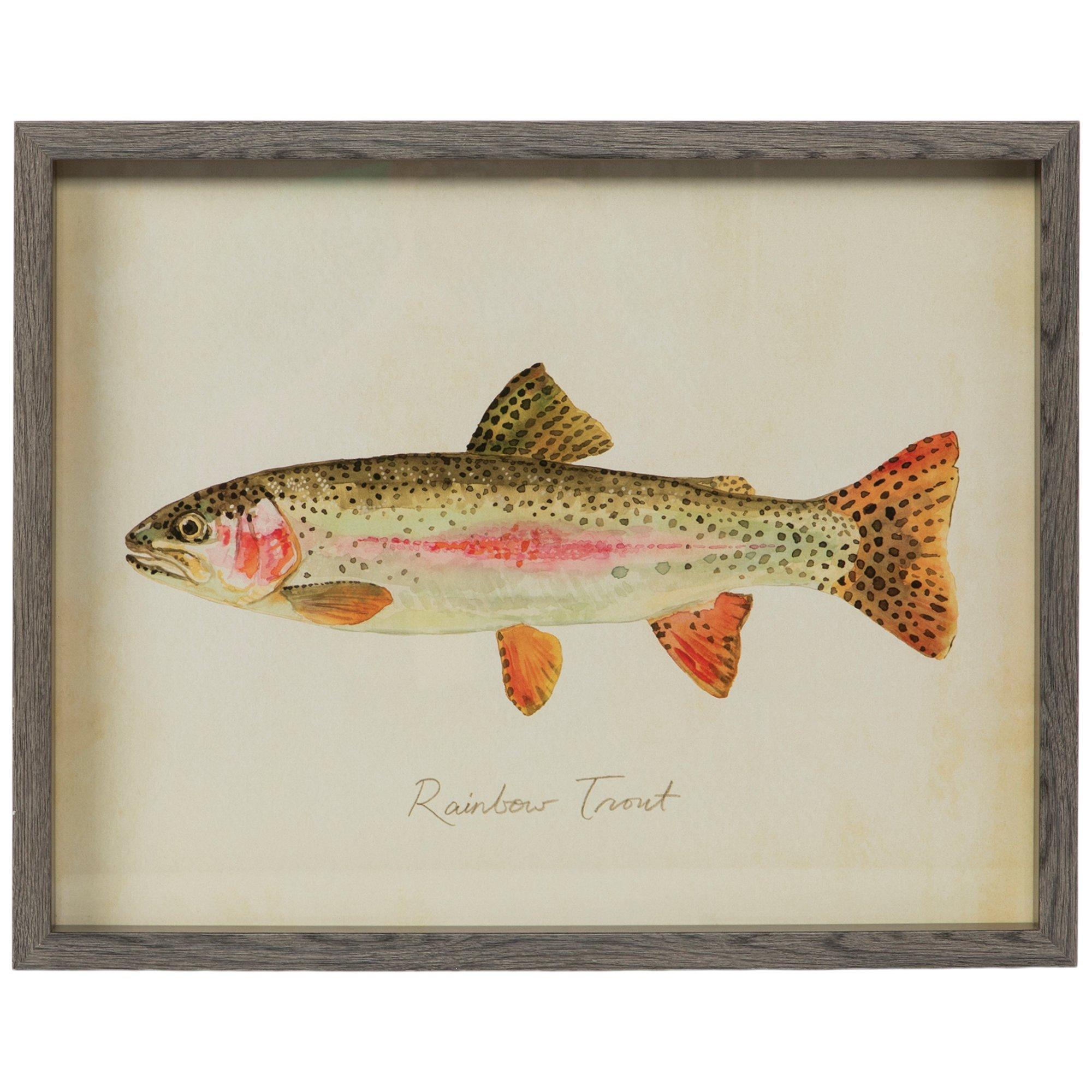 Fishing Framed Wall Decor by Hobby Lobby 23.5 x 9.5 Art Home Accent Fish
