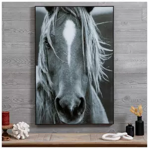 Black & White Horse Framed Wall Decor