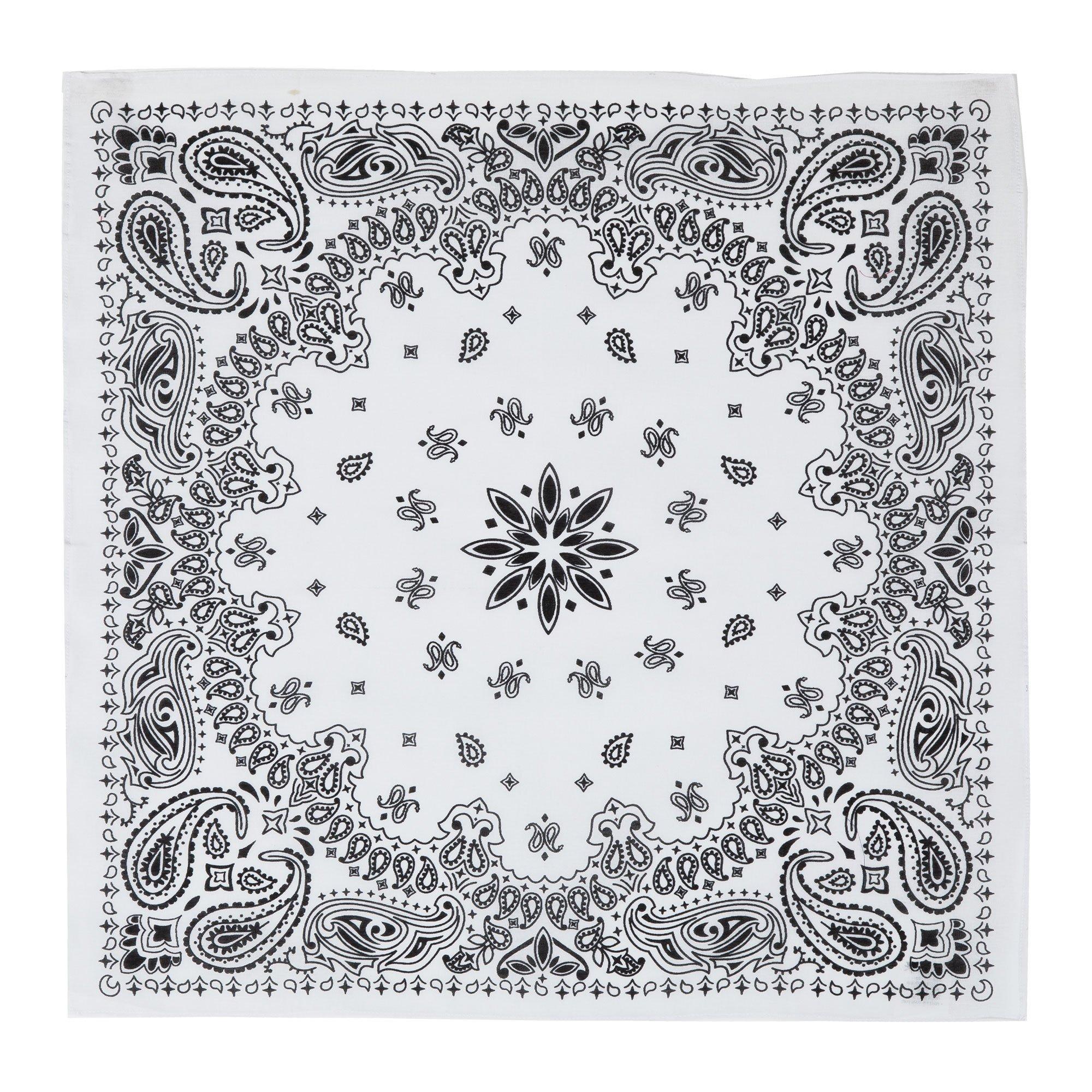 Paisley Bandana Hobby Lobby 600353