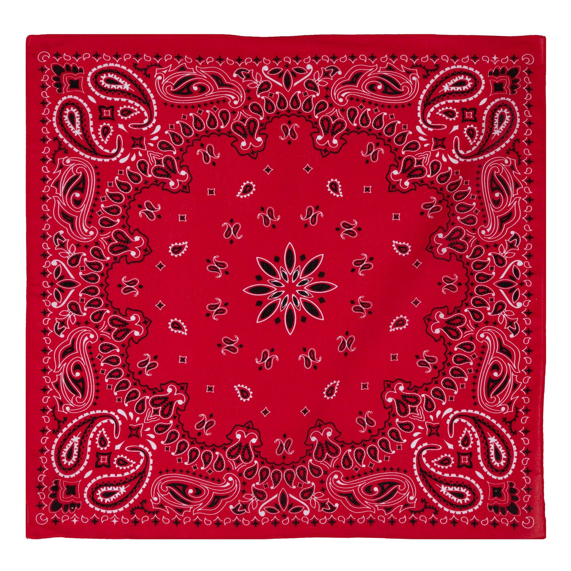 Paisley Bandana | Hobby Lobby | 600387