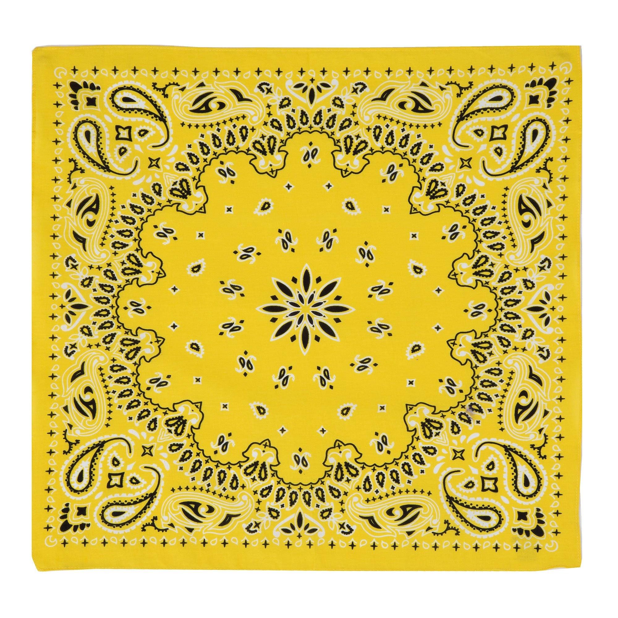 Paisley Bandana Hobby Lobby 600395