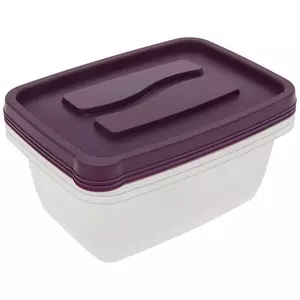 Purple Storage Containers - 6 Piece Set
