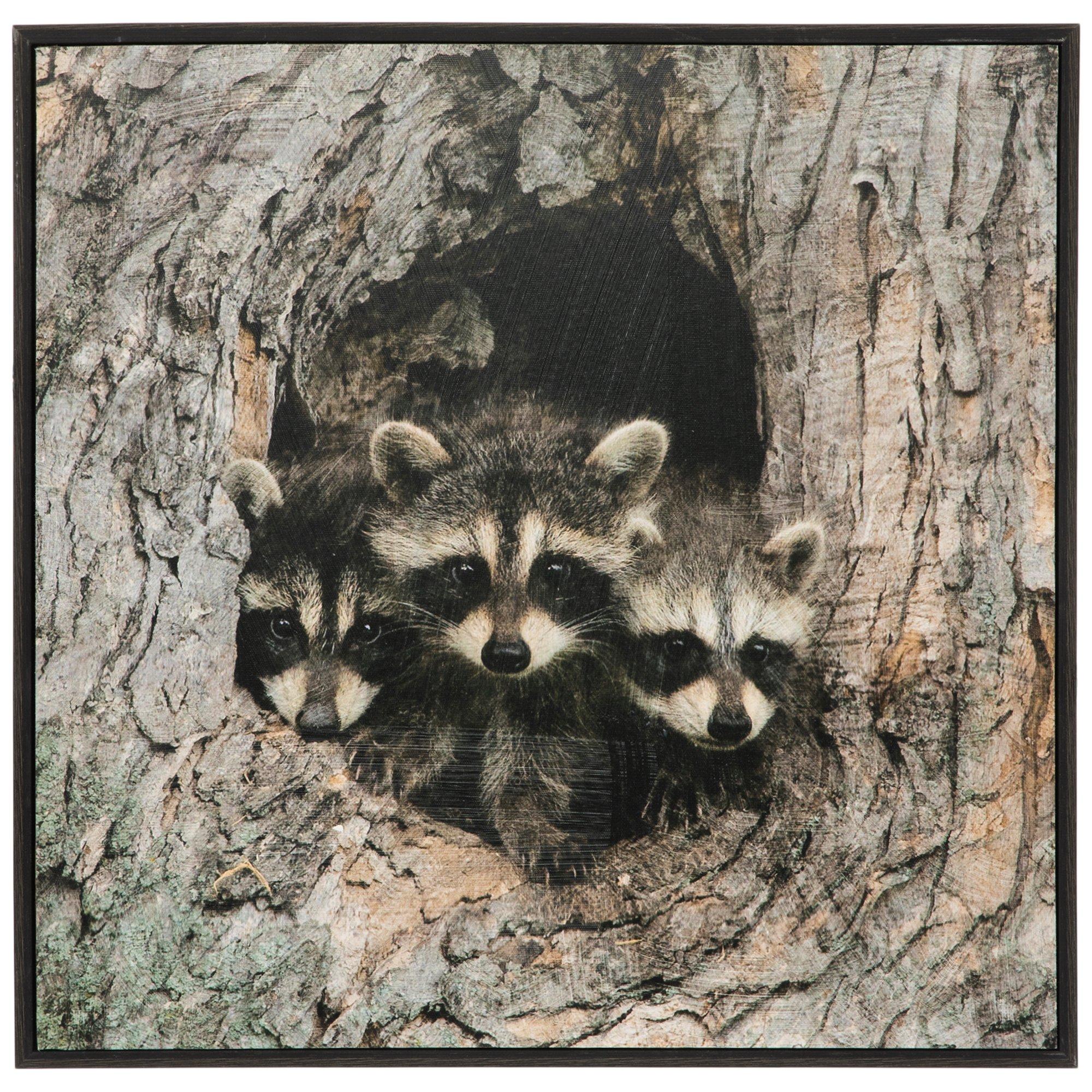 Raccoon Pups Canvas Wall Decor | Hobby Lobby | 6008627