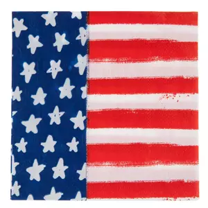 Whimsy American Flag Napkins - Small