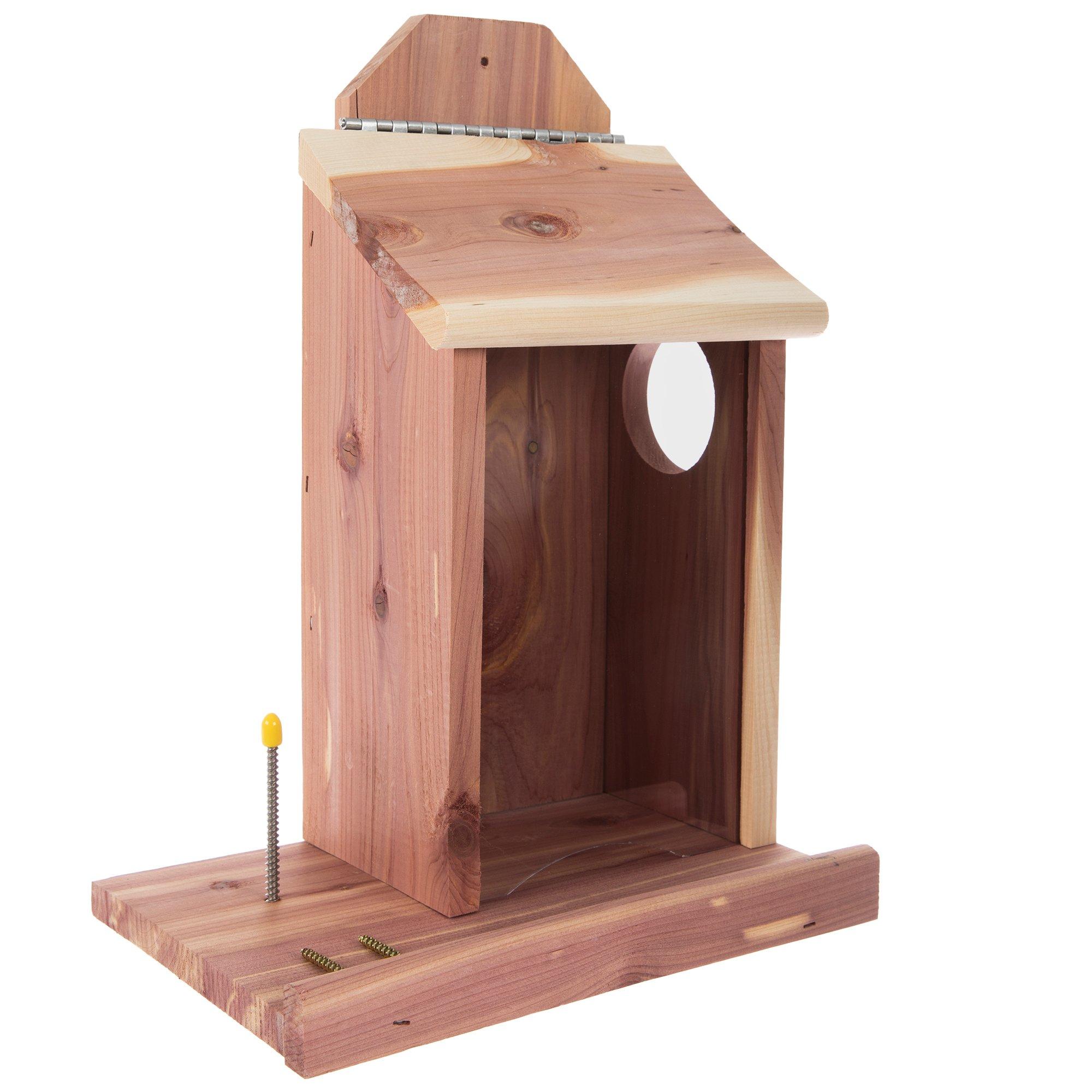 Hinge Cedar Wood Bird House & Feeder | Hobby Lobby | 6014542