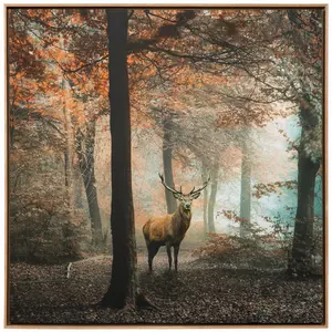 Stag In Forest Canvas Wall Decor