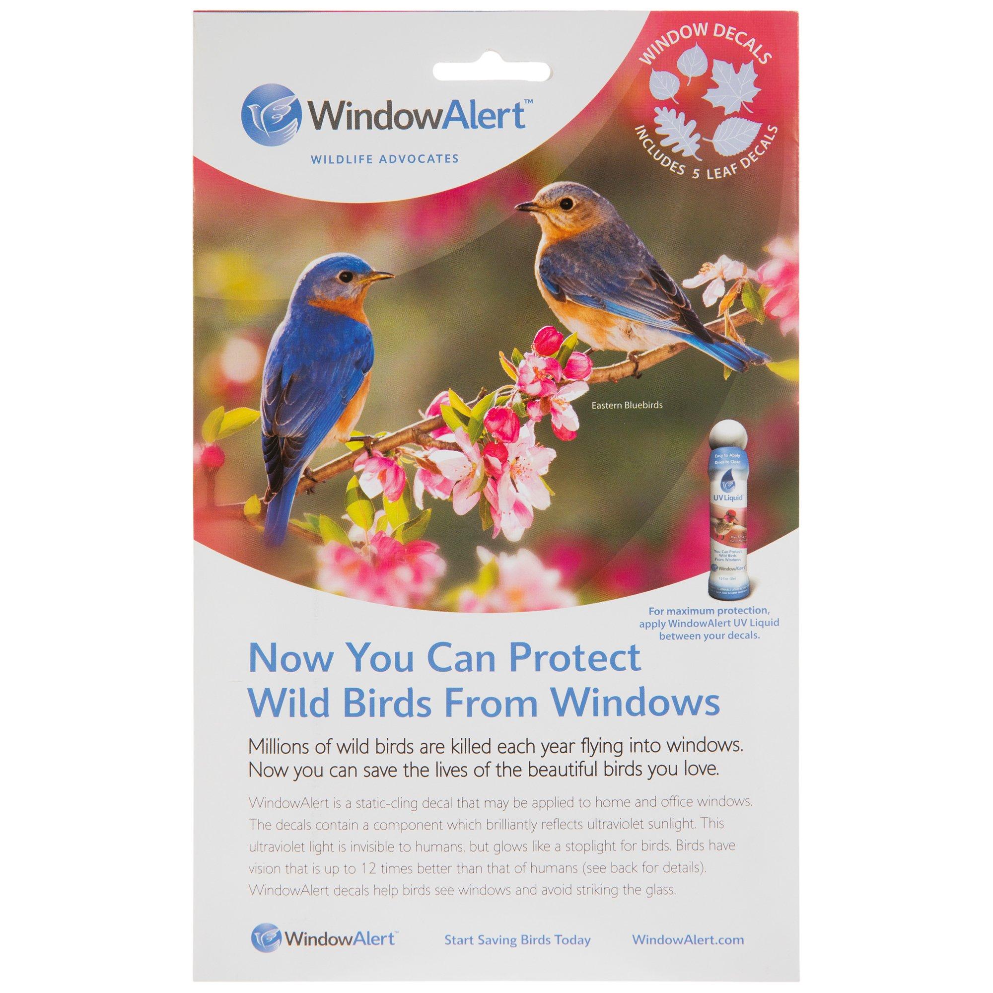 WindowAlert Leaf Medley Decals Hobby Lobby 6020911