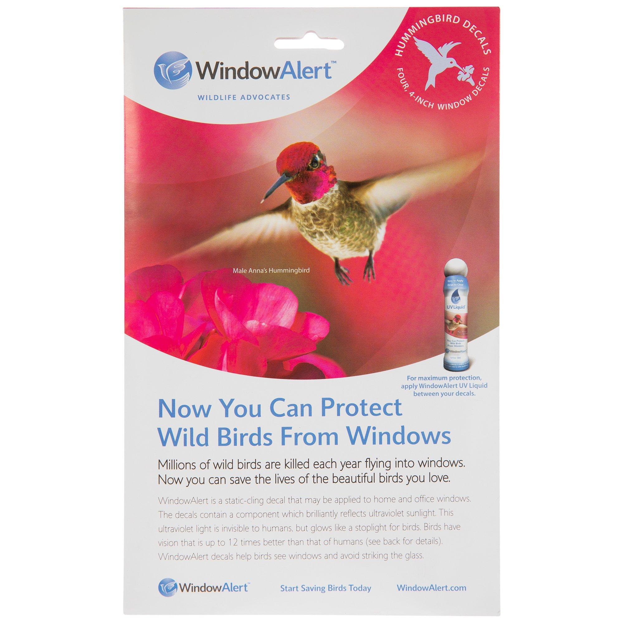 WindowAlert Hummingbird Decals Hobby Lobby 6020929