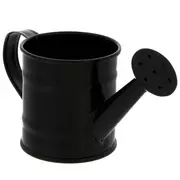 Black Mini Watering Can