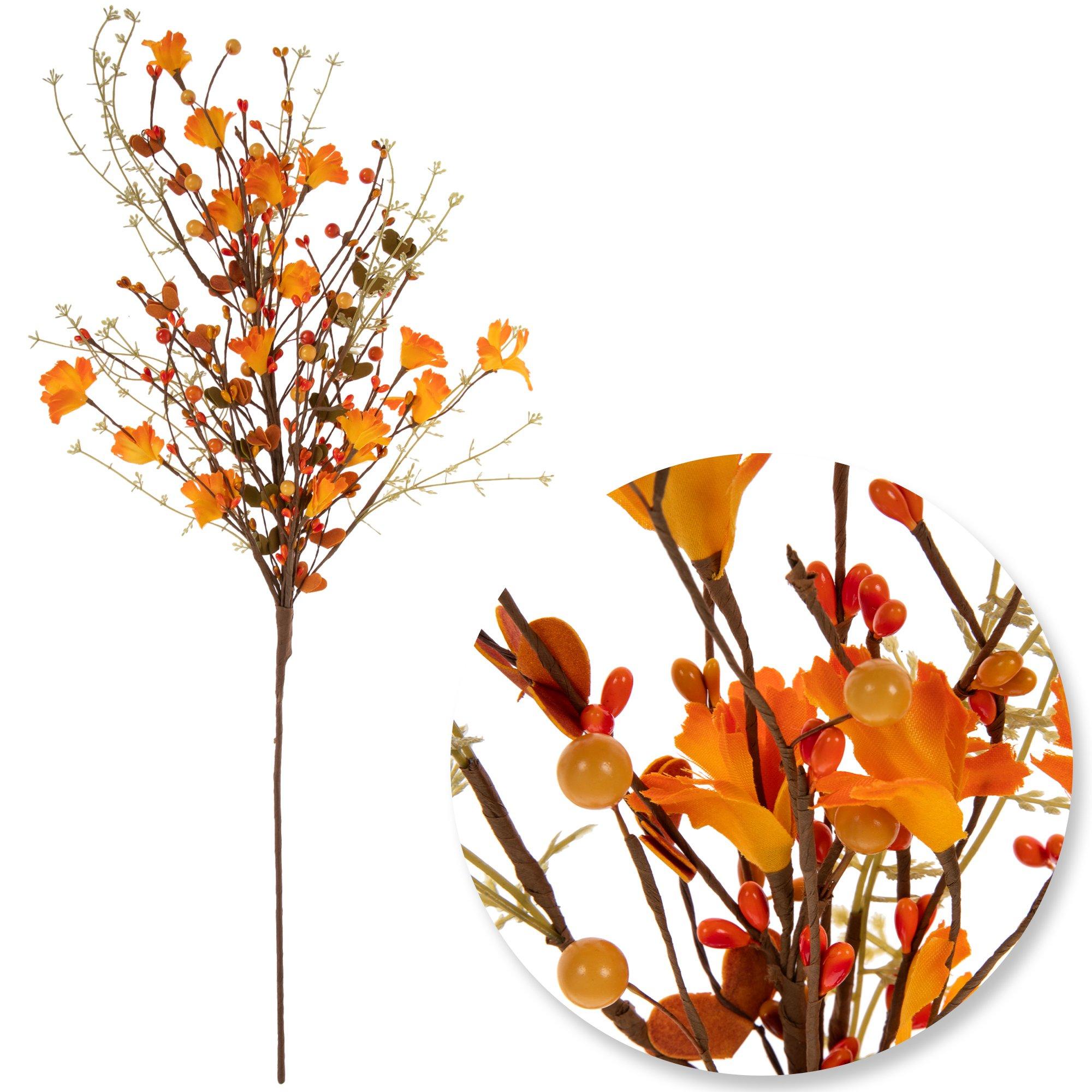 Selected Product Image