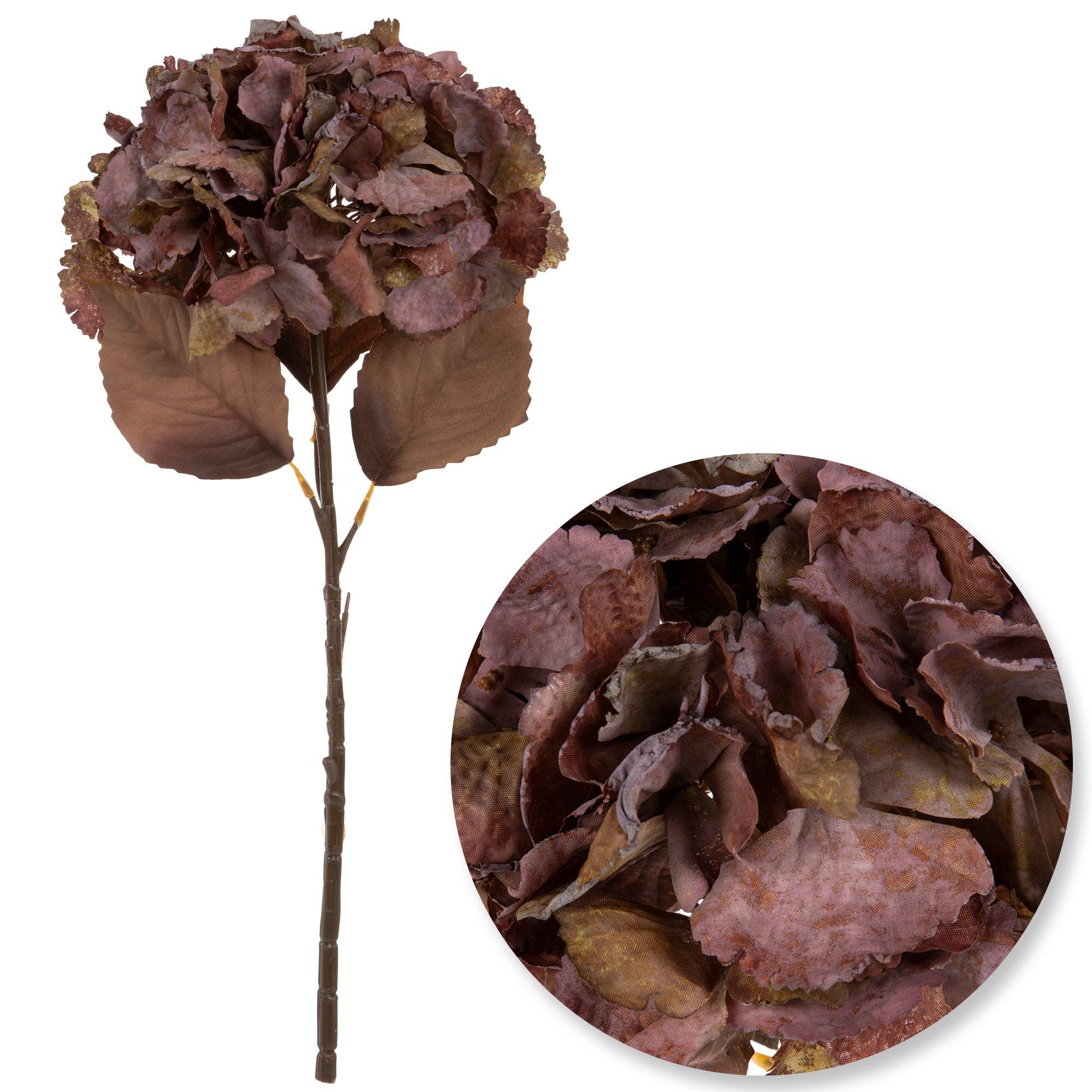 Dried Look Hydrangea Stem Hobby Lobby 6040950
