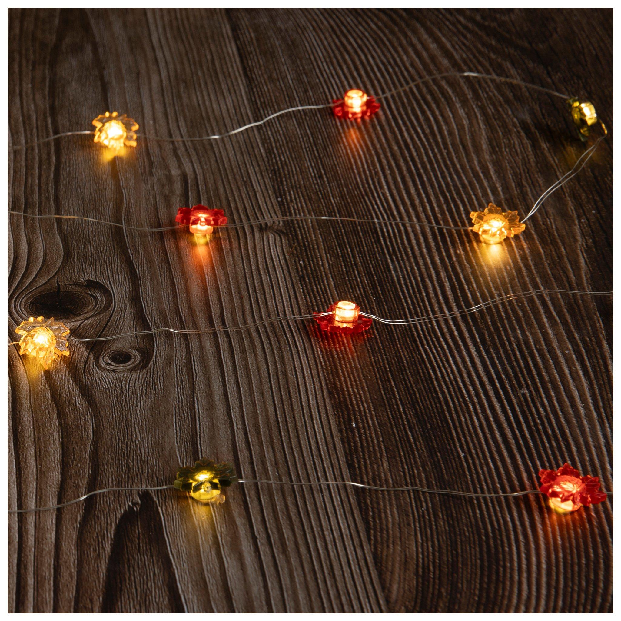 Selected Product Image