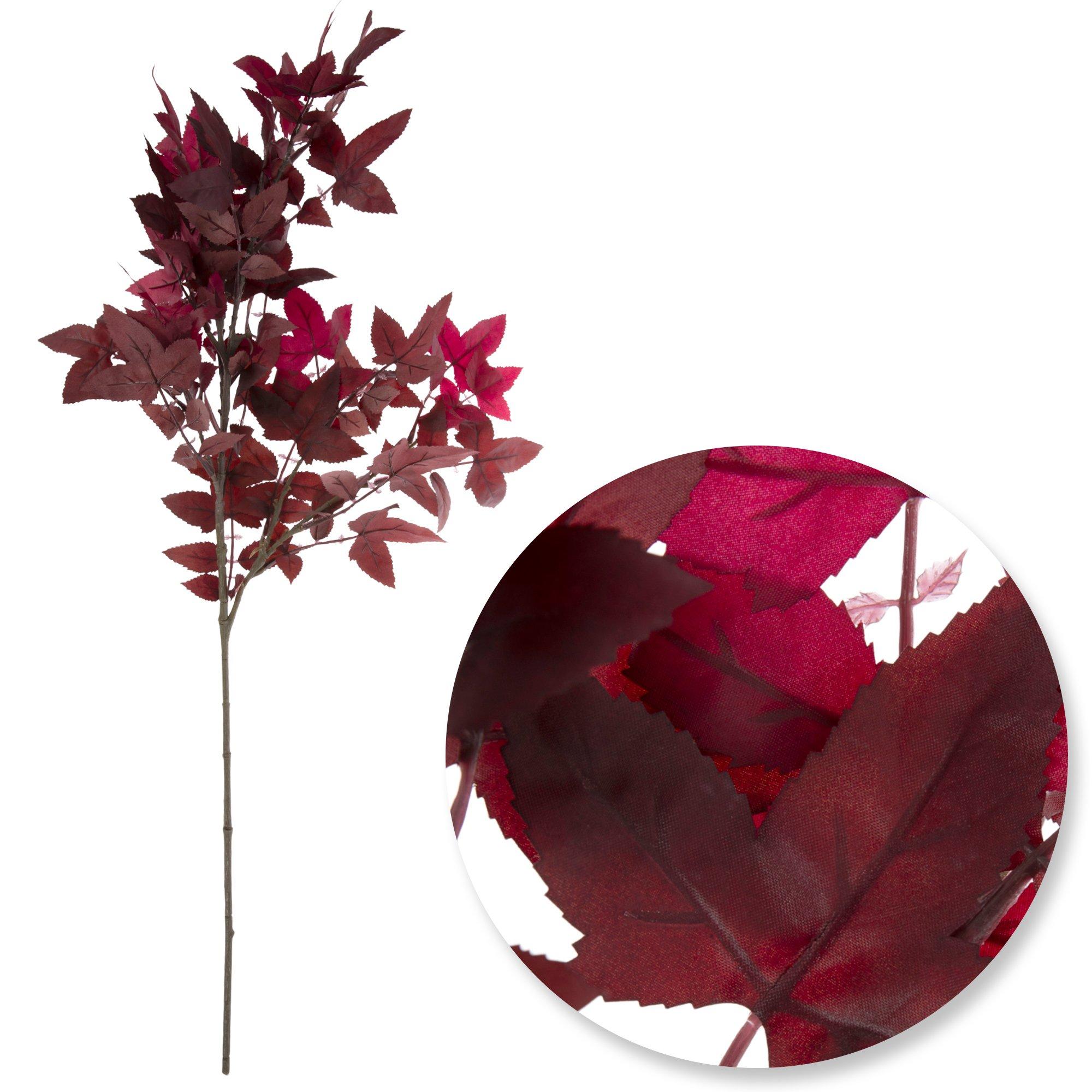 Selected Product Image