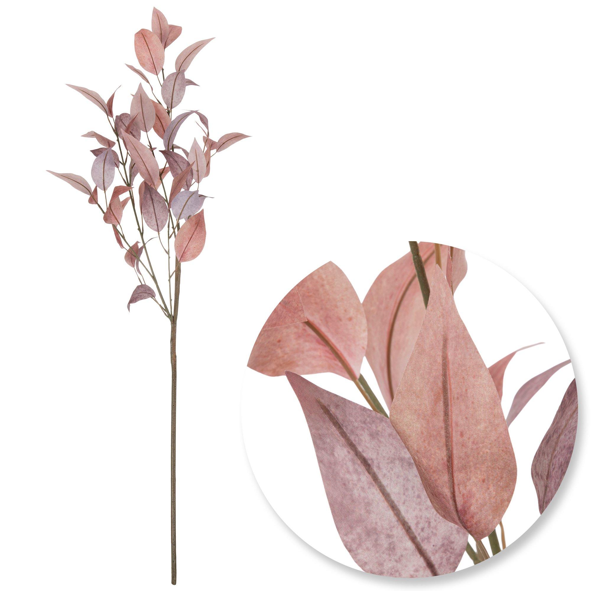 Selected Product Image