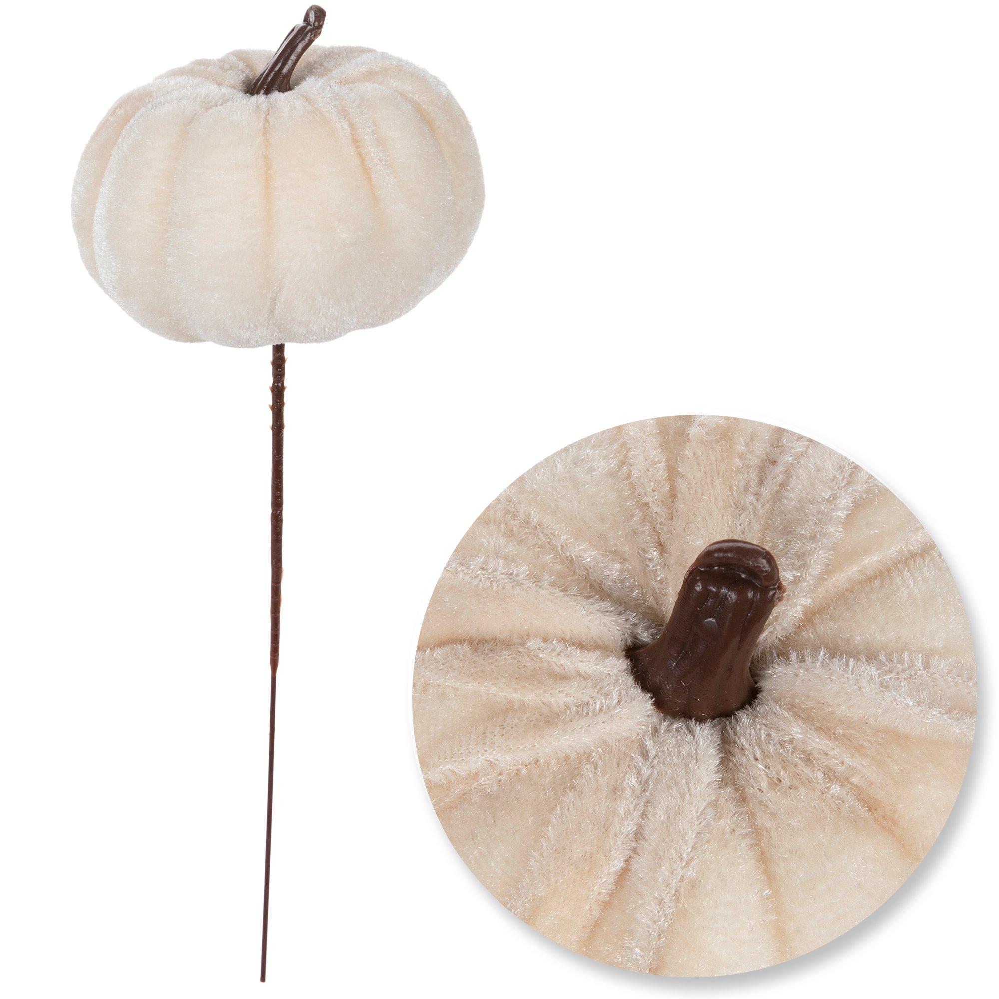 Selected Product Image