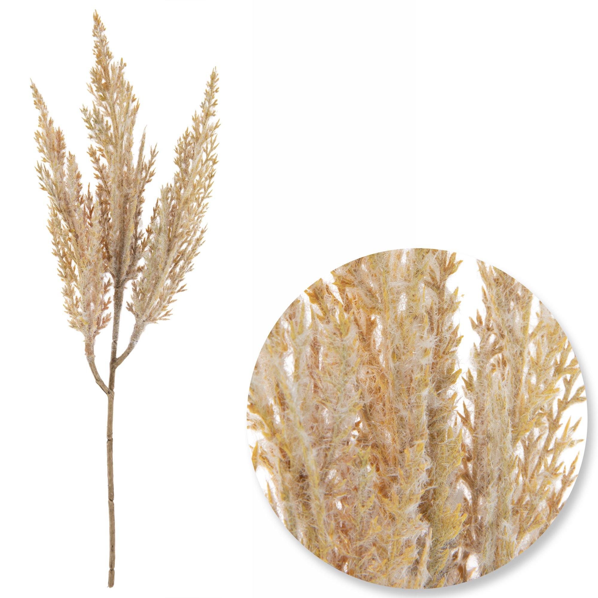 Pampas Grass Pick Hobby Lobby 6041818