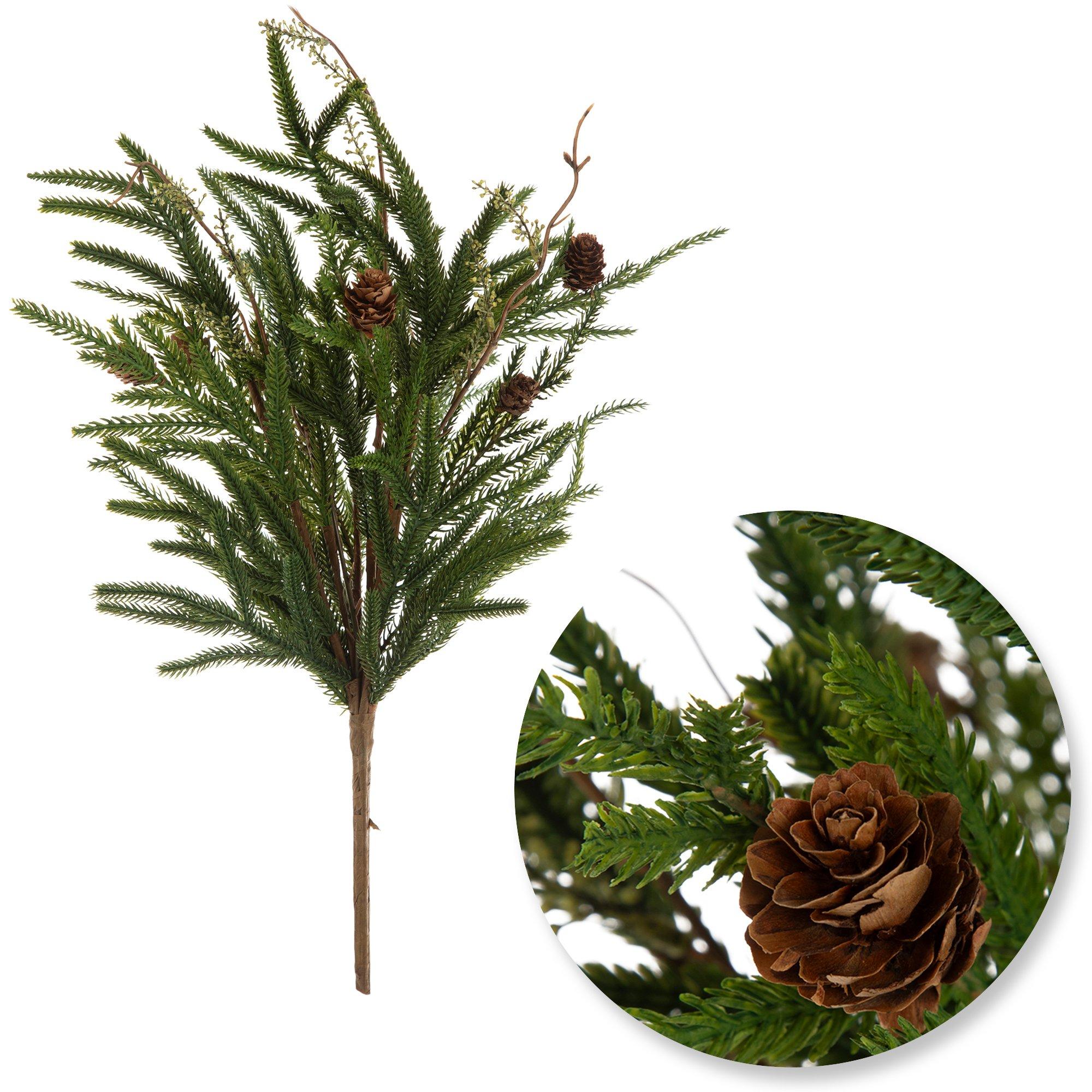 Selected Product Image