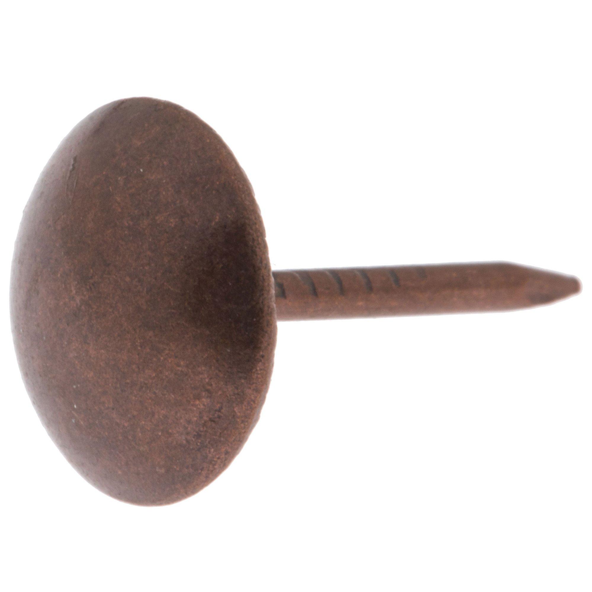 Brushed Round Decorative Tacks 7/16" Hobby Lobby 604785