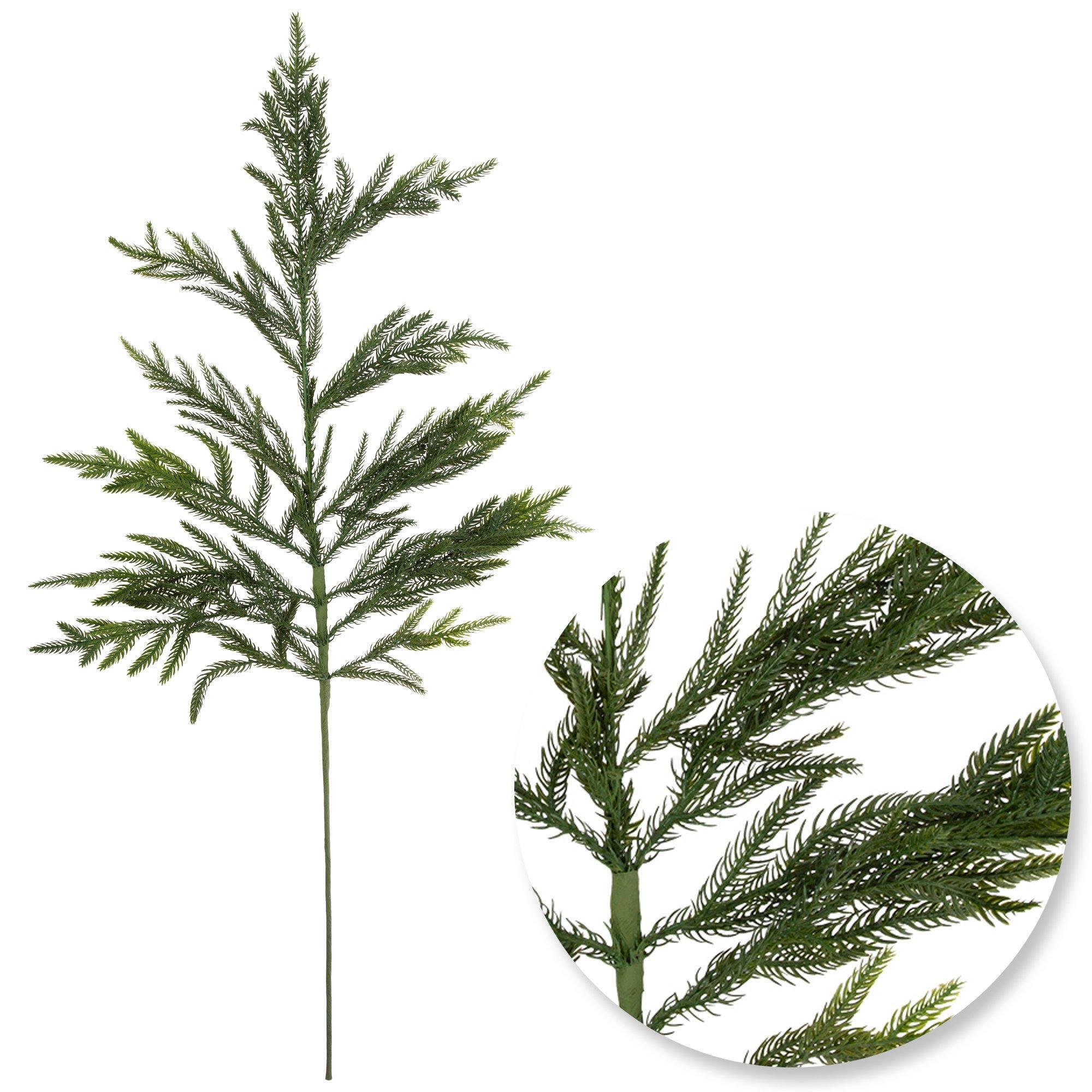 Norfolk Pine Spray view 1