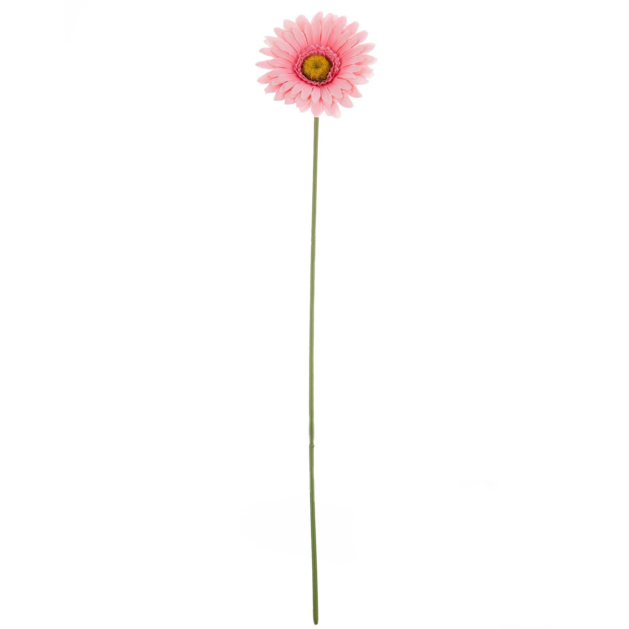 Gerbera Daisy Stem Hobby Lobby 615732