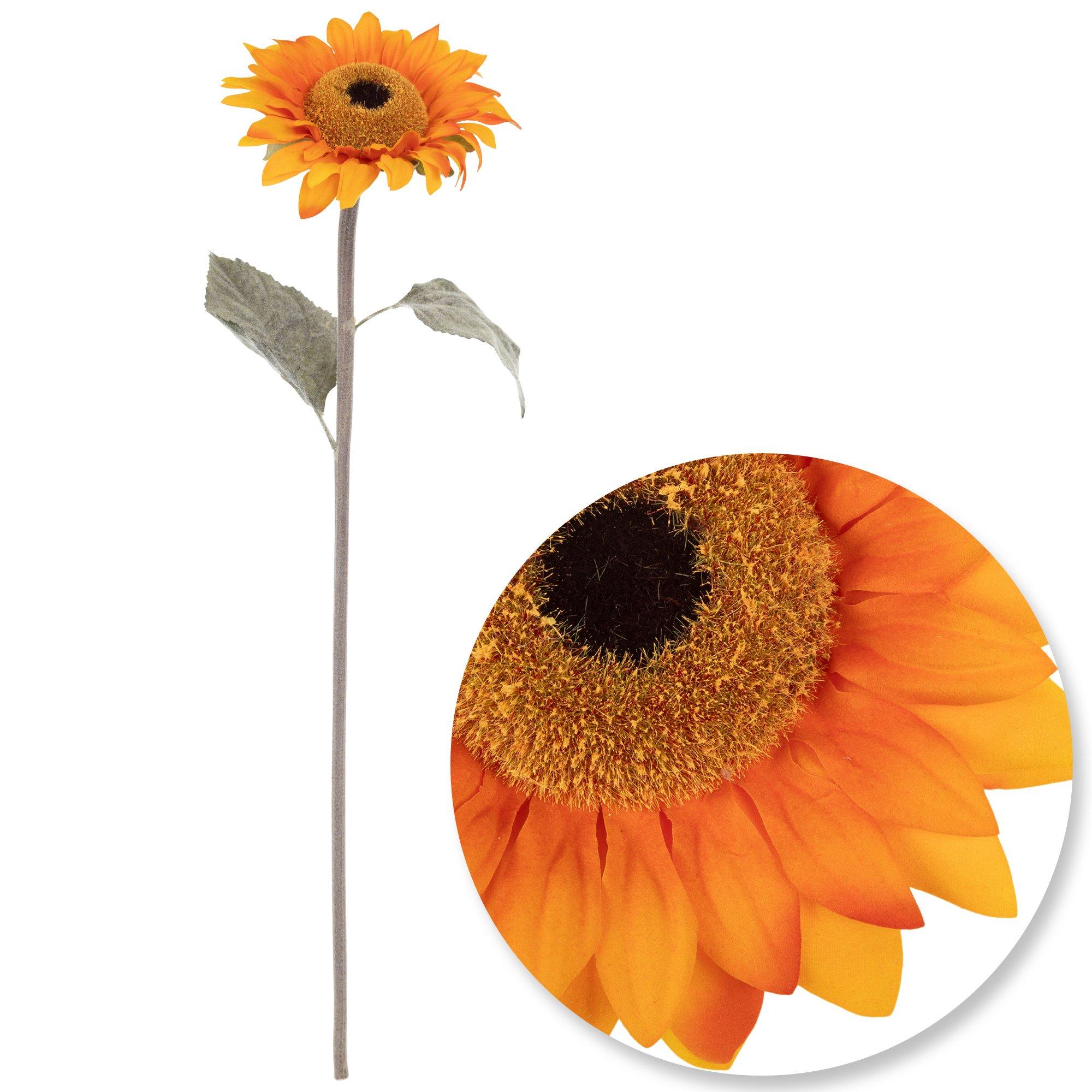 Fuzzy Sunflower Stem Hobby Lobby 6183875