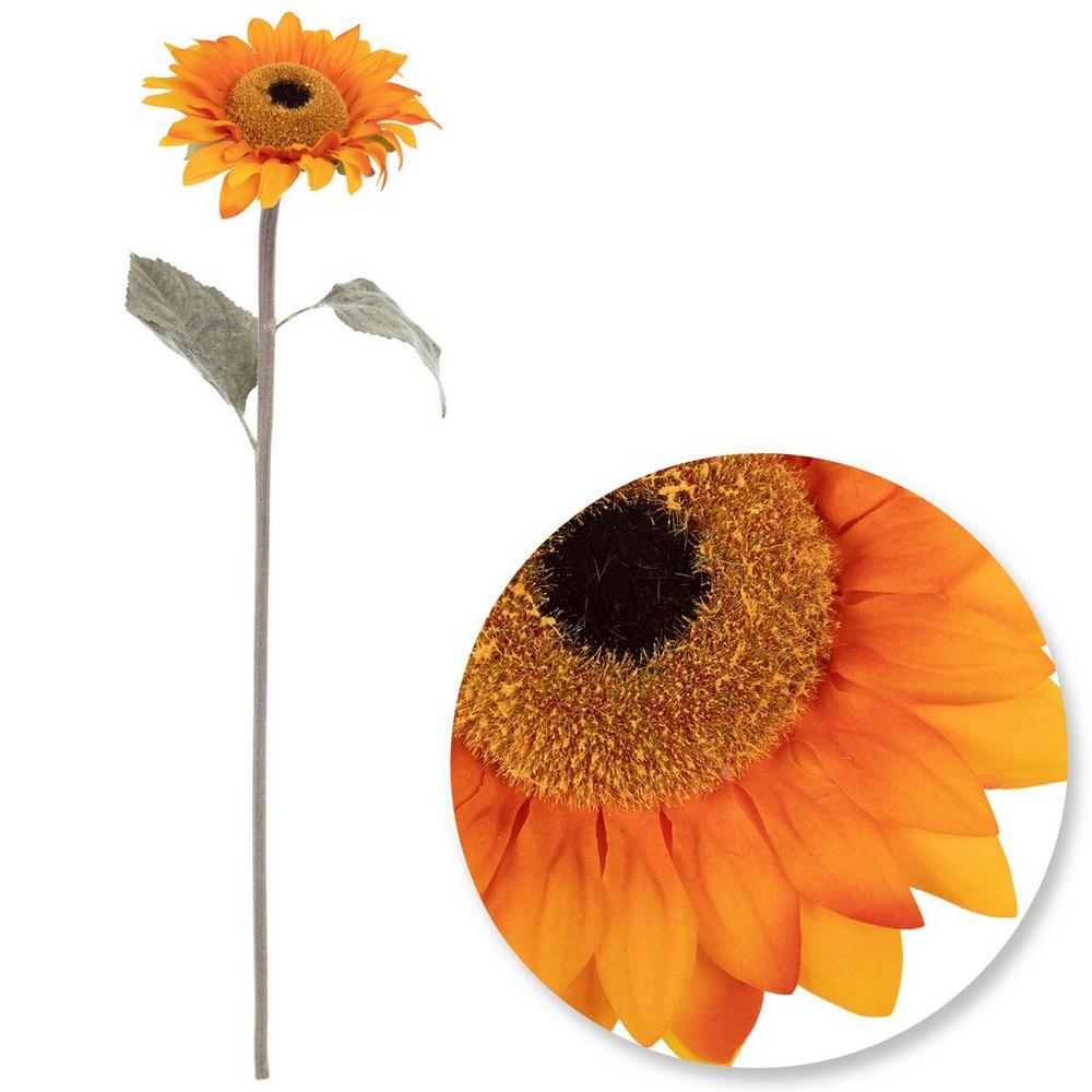 ✿sunflower✿ ID 6045 Sunflower With Leaves Patch Garden Flower