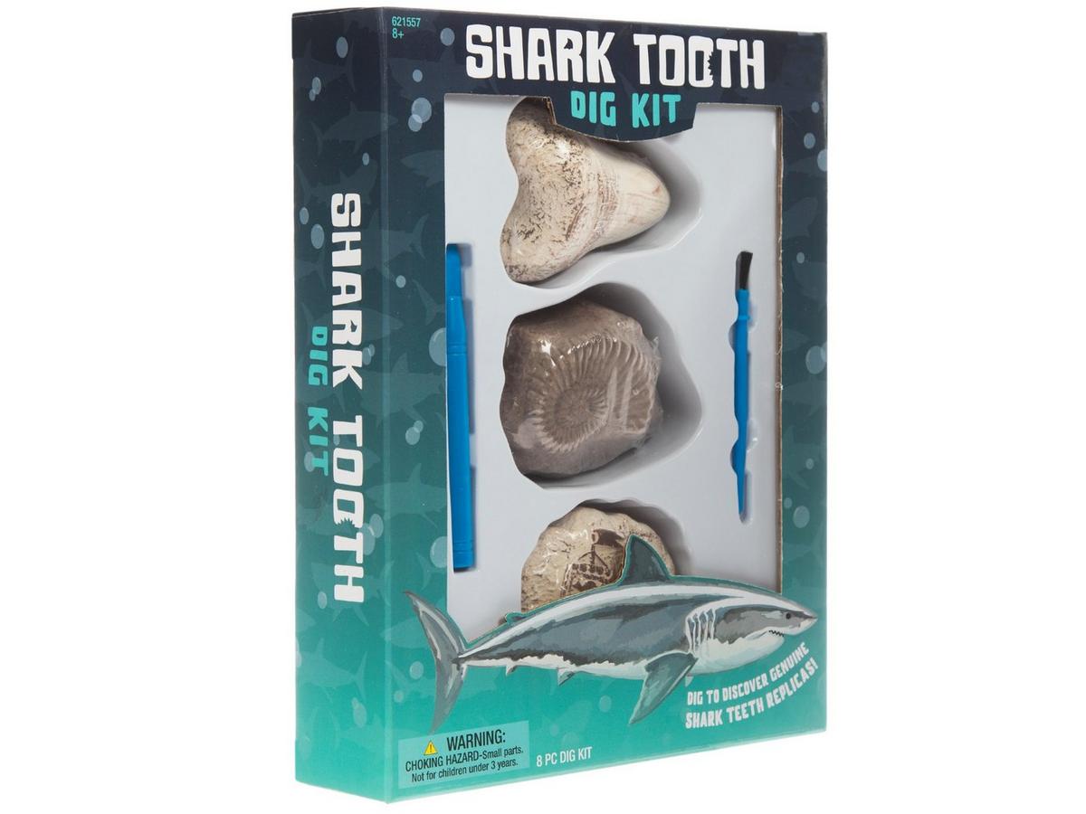 621557-81098494-09052024-