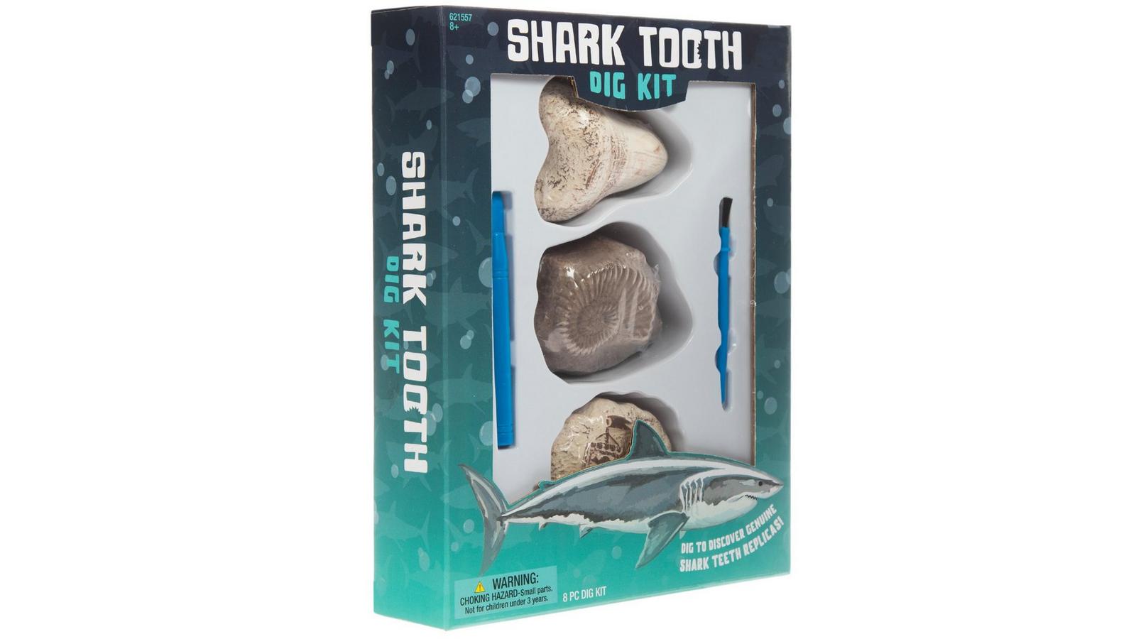 621557-81098494-09052024-