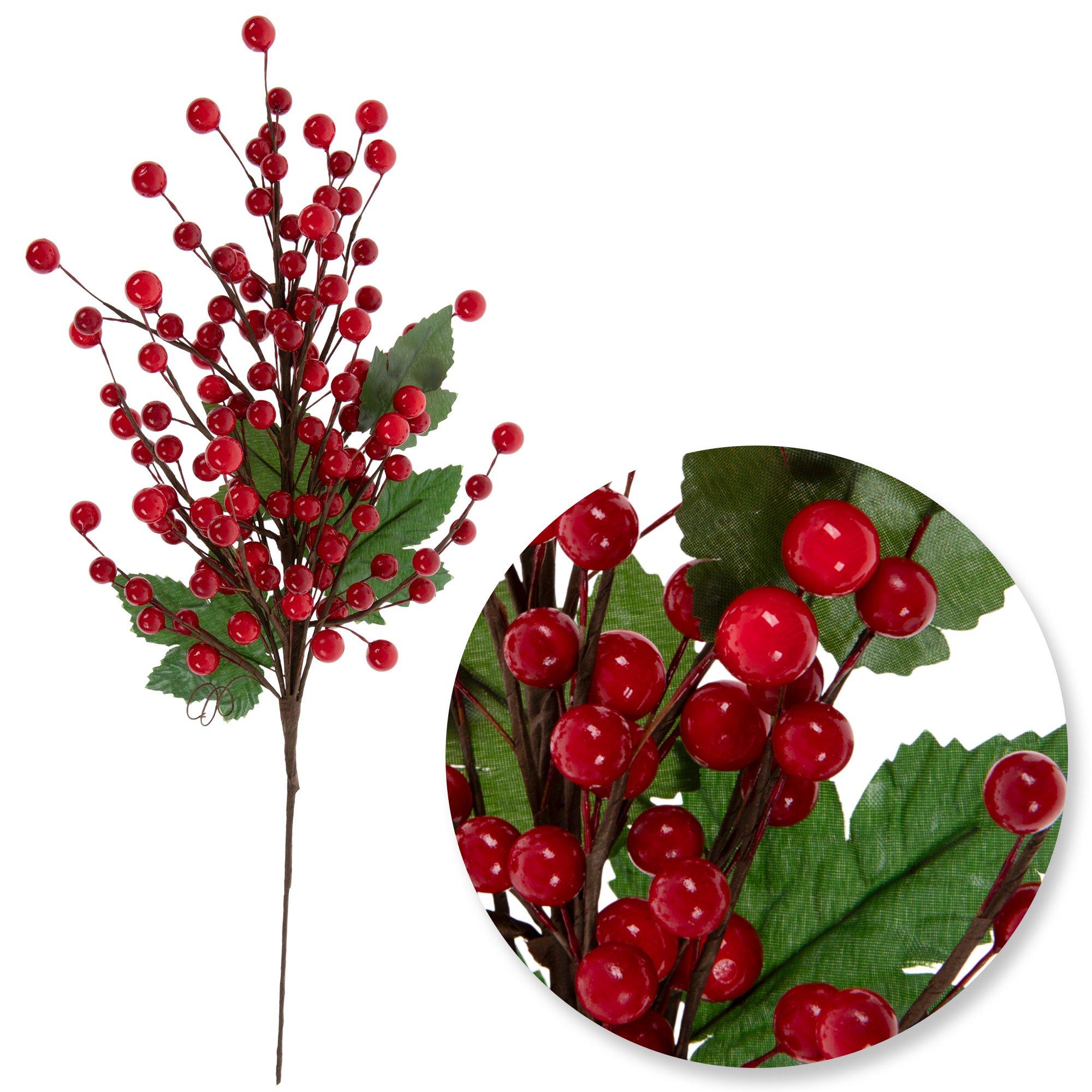 Selected Product Image