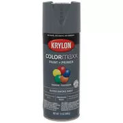 Krylon ColorMaxx Glossy Spray Paint & Primer