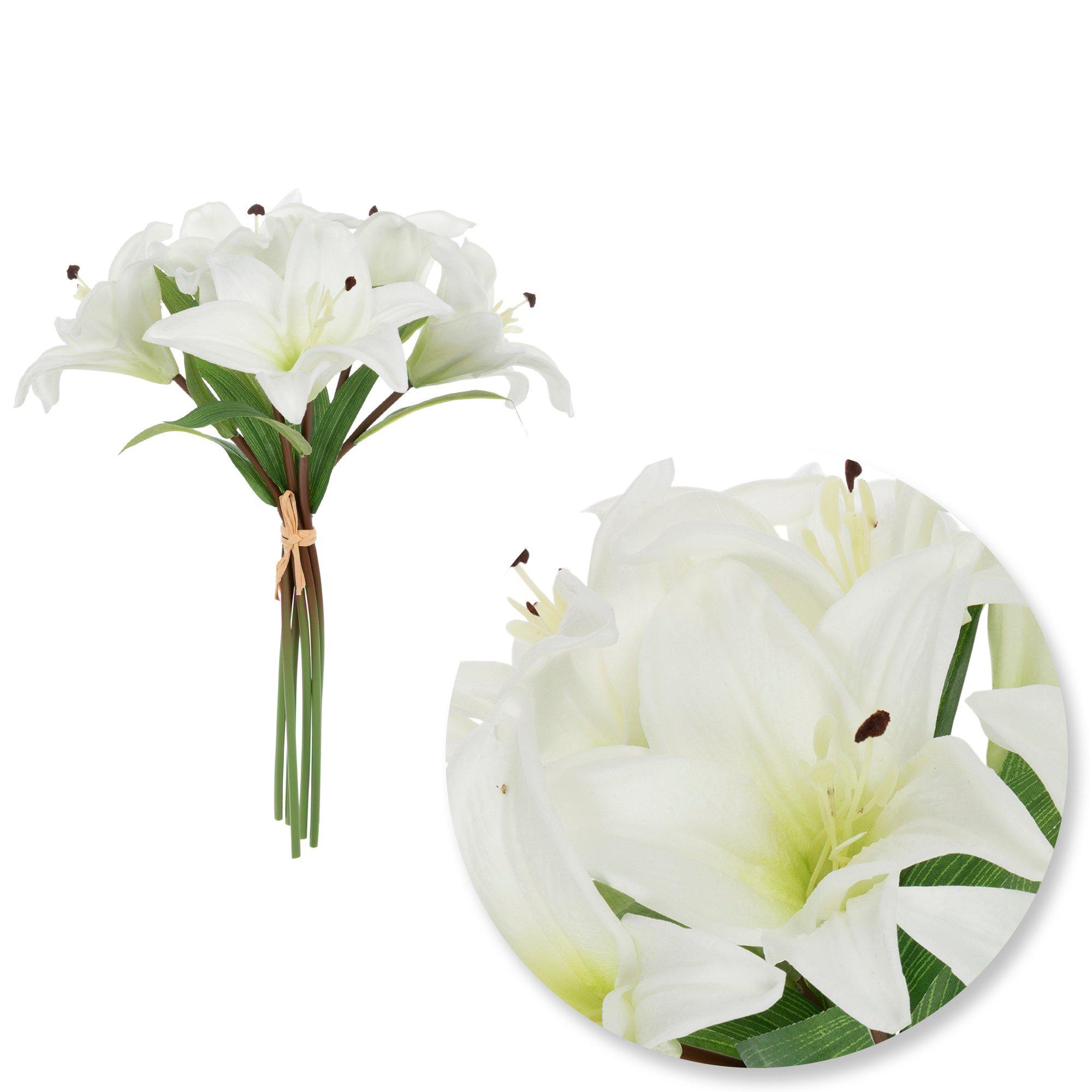 Selected Product Image