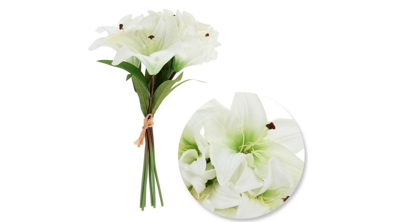 Van Zyverden White Lily Bulbs 7-Count 83670 at Lowes.com