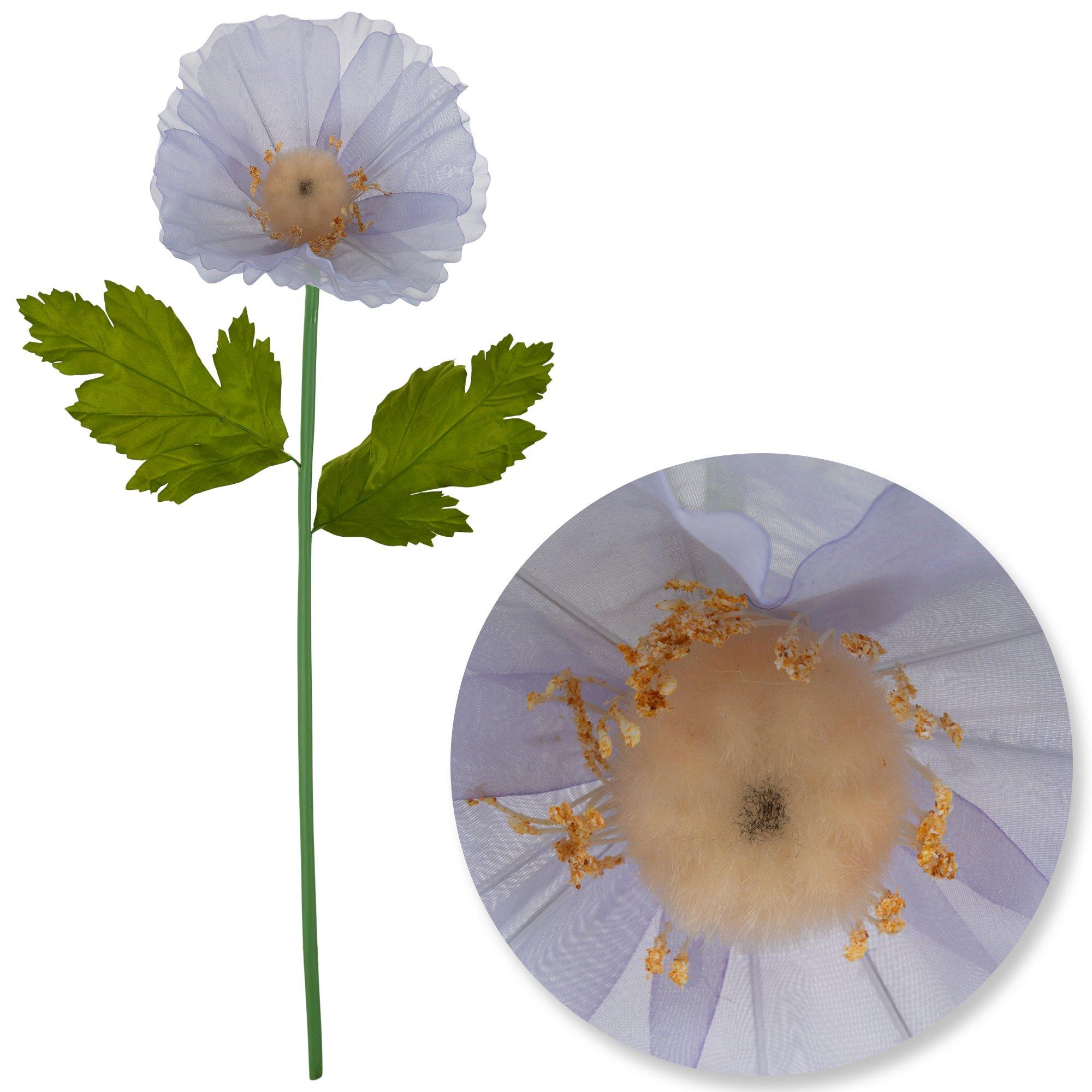 その他 poppy See-Through – POPPY